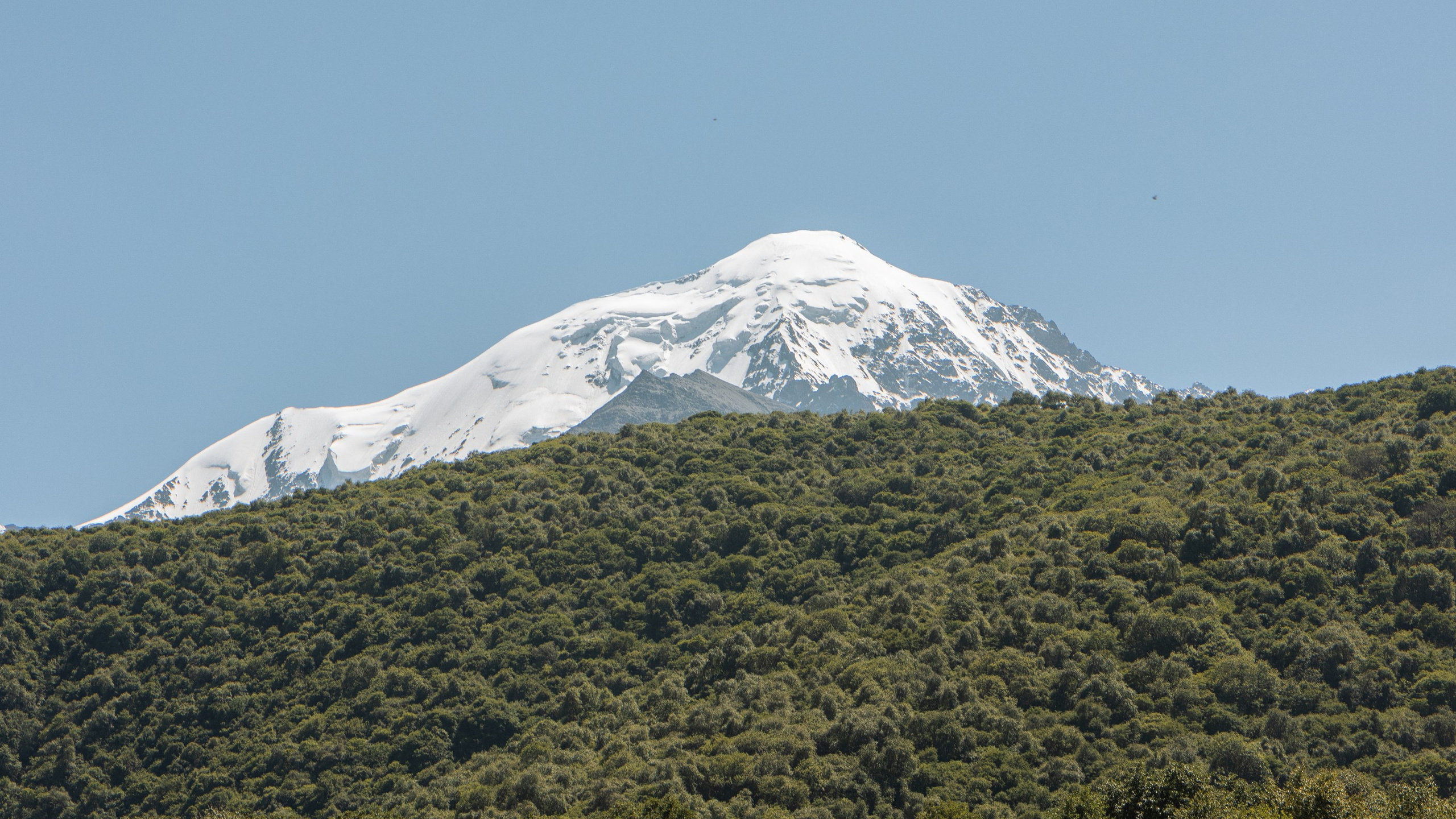 Природа. Danny Morgunovsky