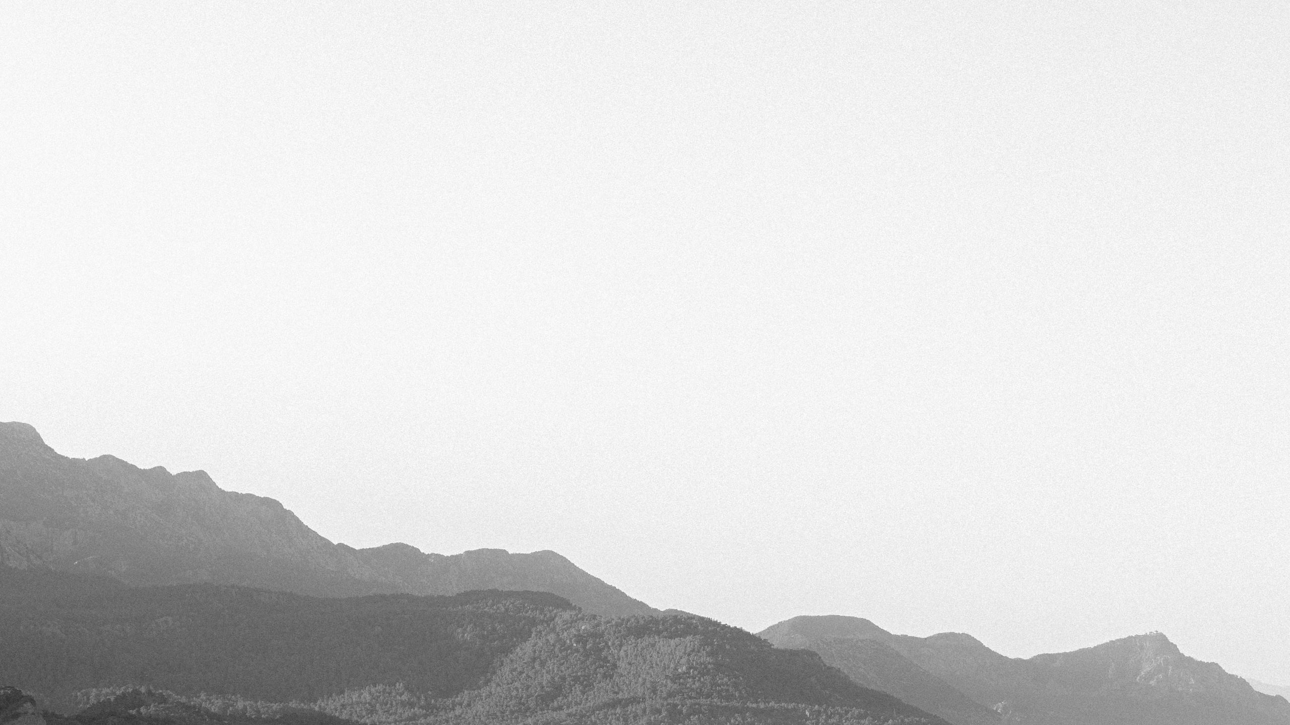 Турция'24. Danny Morgunovsky