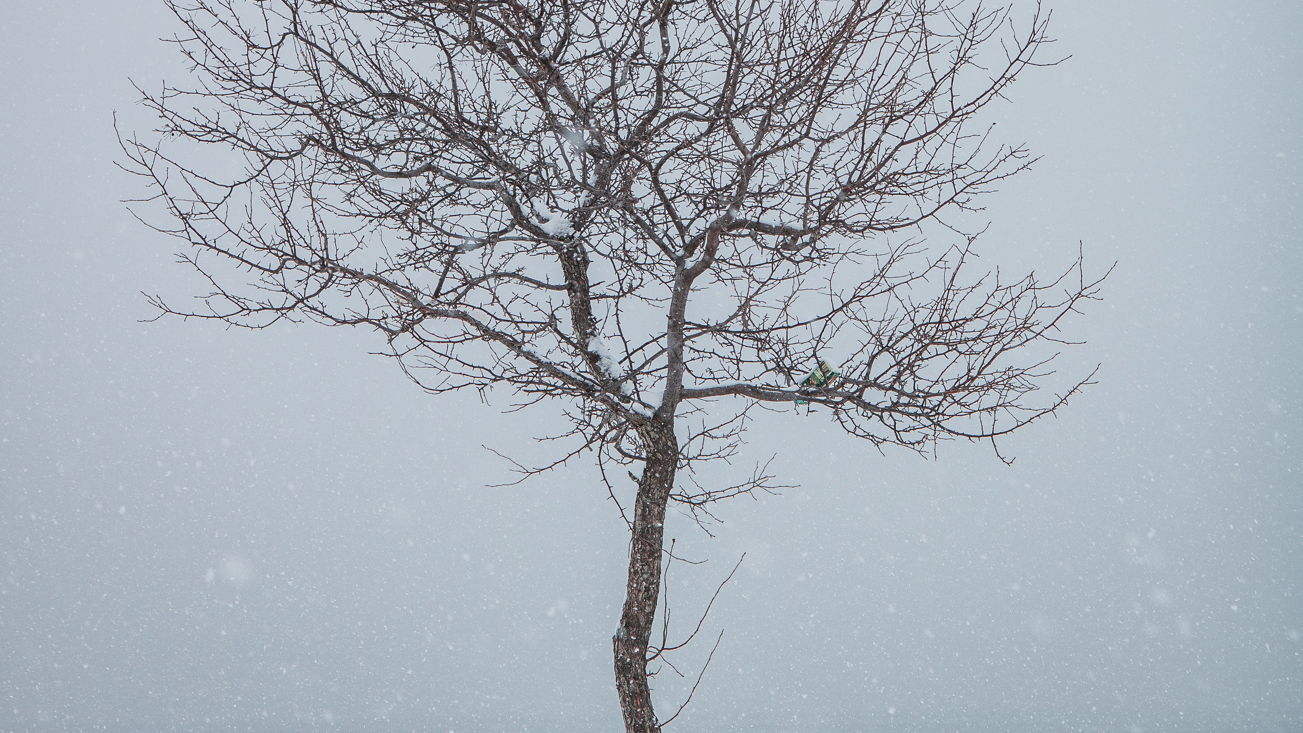 Природа. Danny Morgunovsky