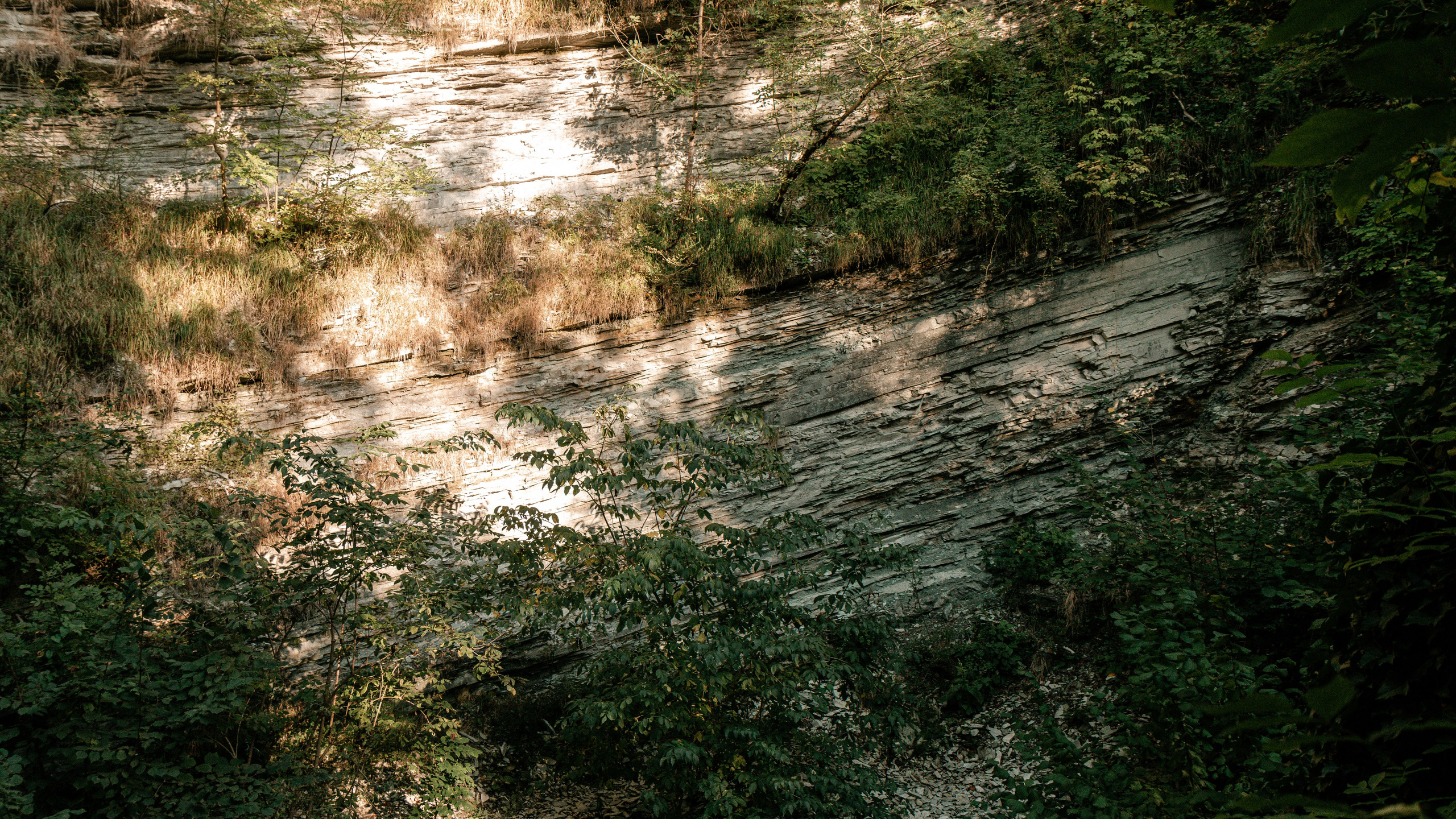 Геленджик'22. Danny Morgunovsky