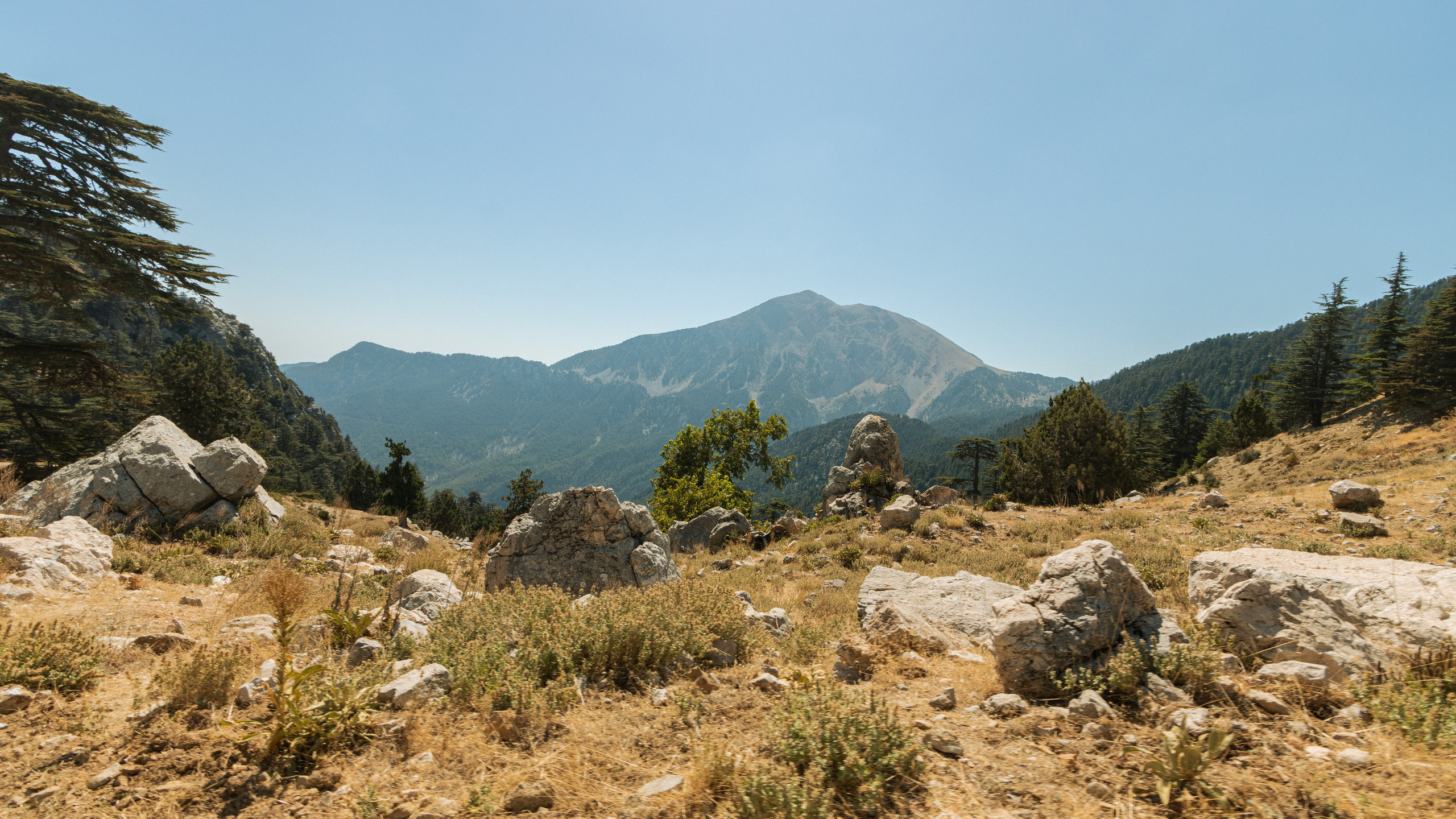 Турция'24. Danny Morgunovsky