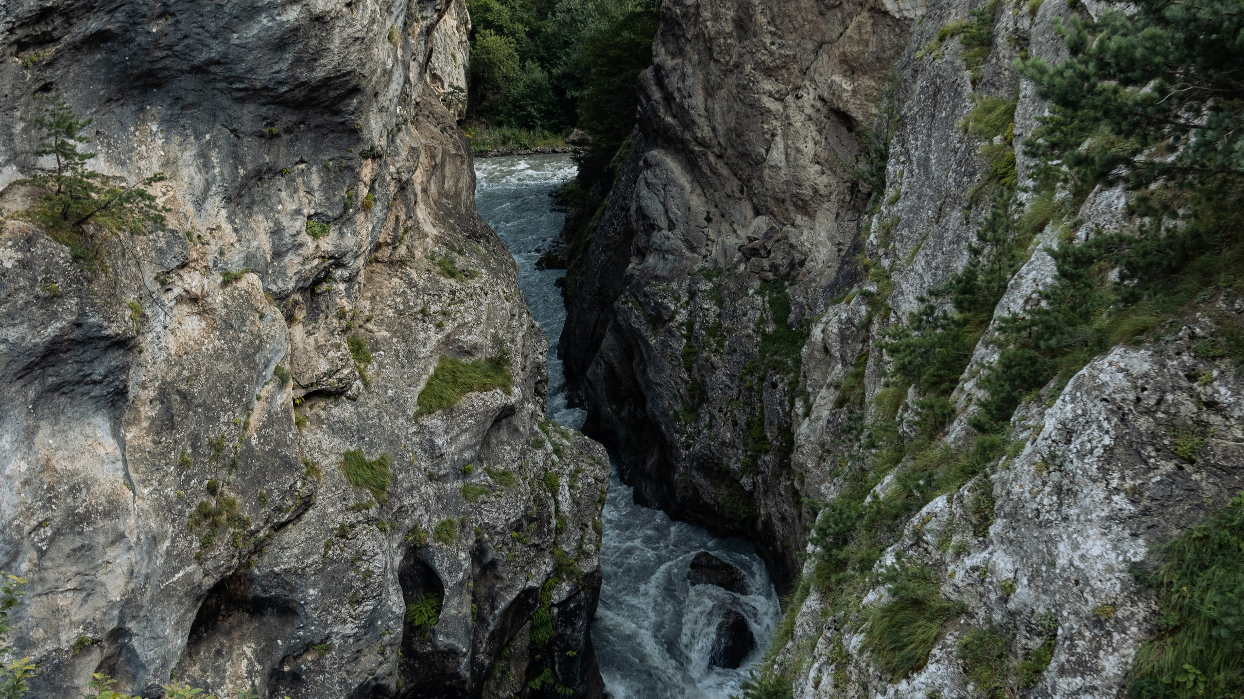 Кавказ'23. Danny Morgunovsky