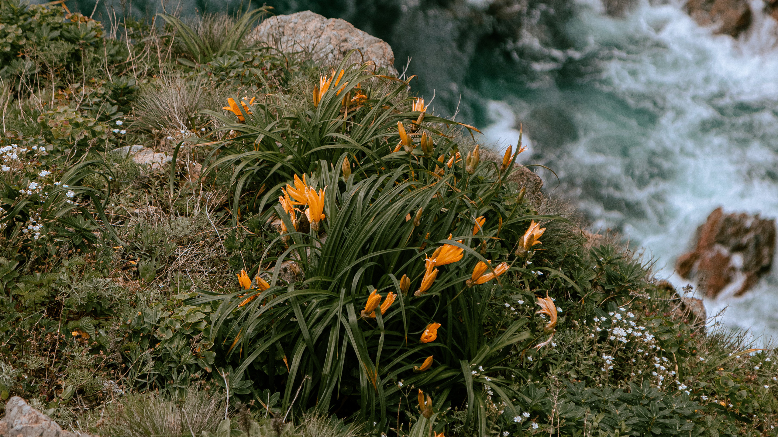 Природа. Danny Morgunovsky