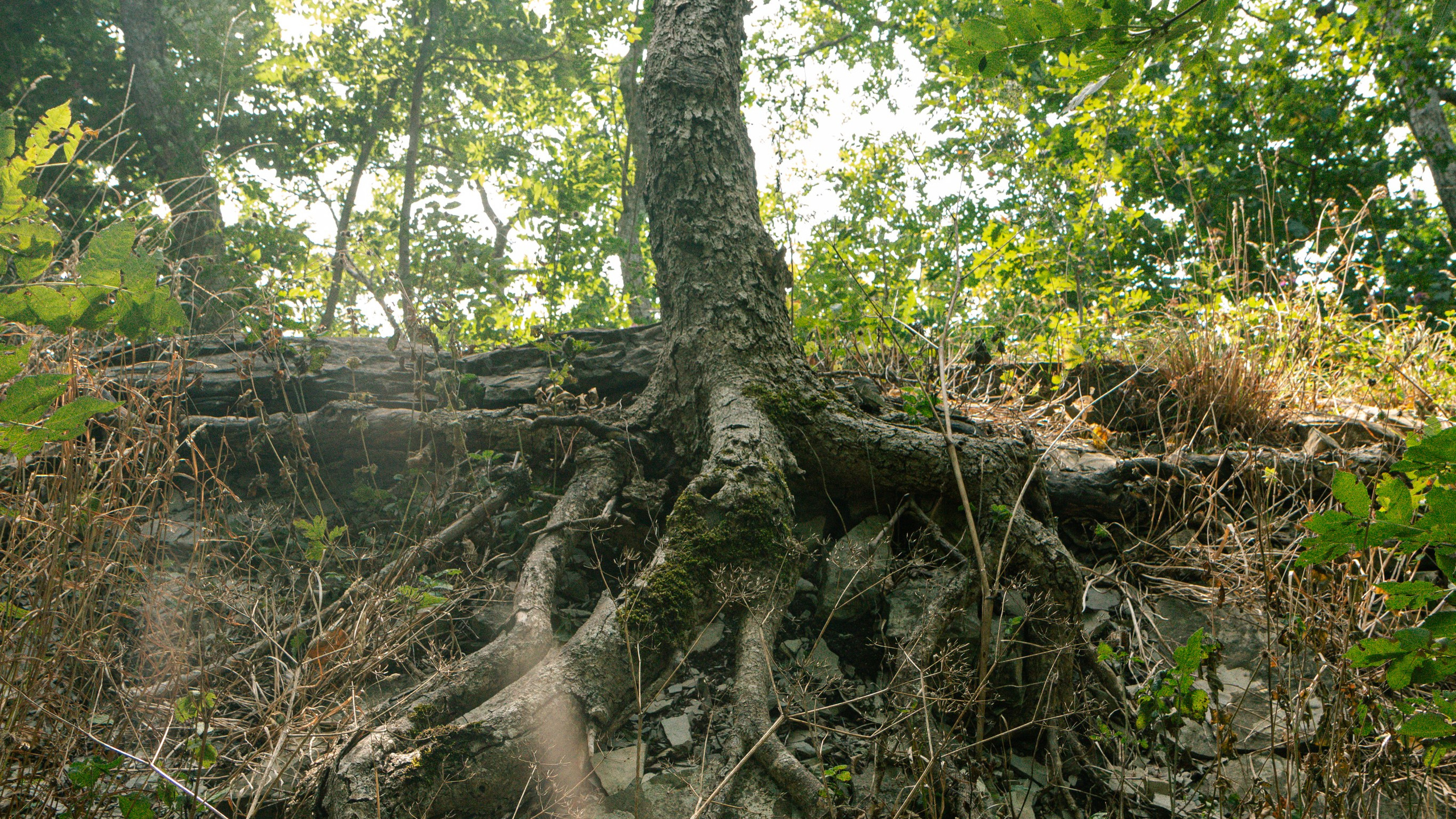 Геленджик'22. Danny Morgunovsky