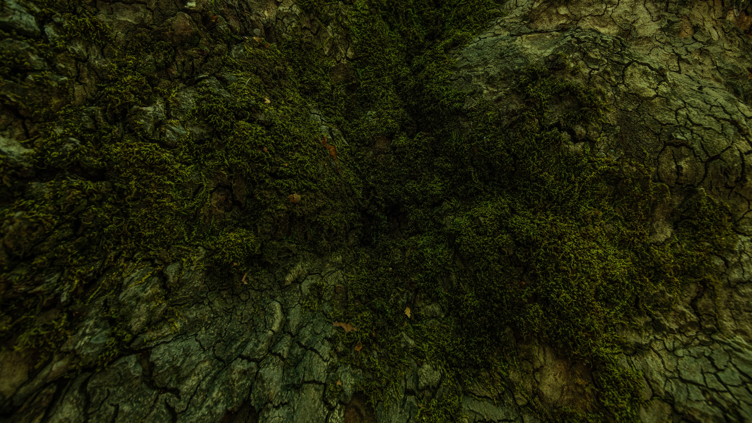 Турция'24. Danny Morgunovsky