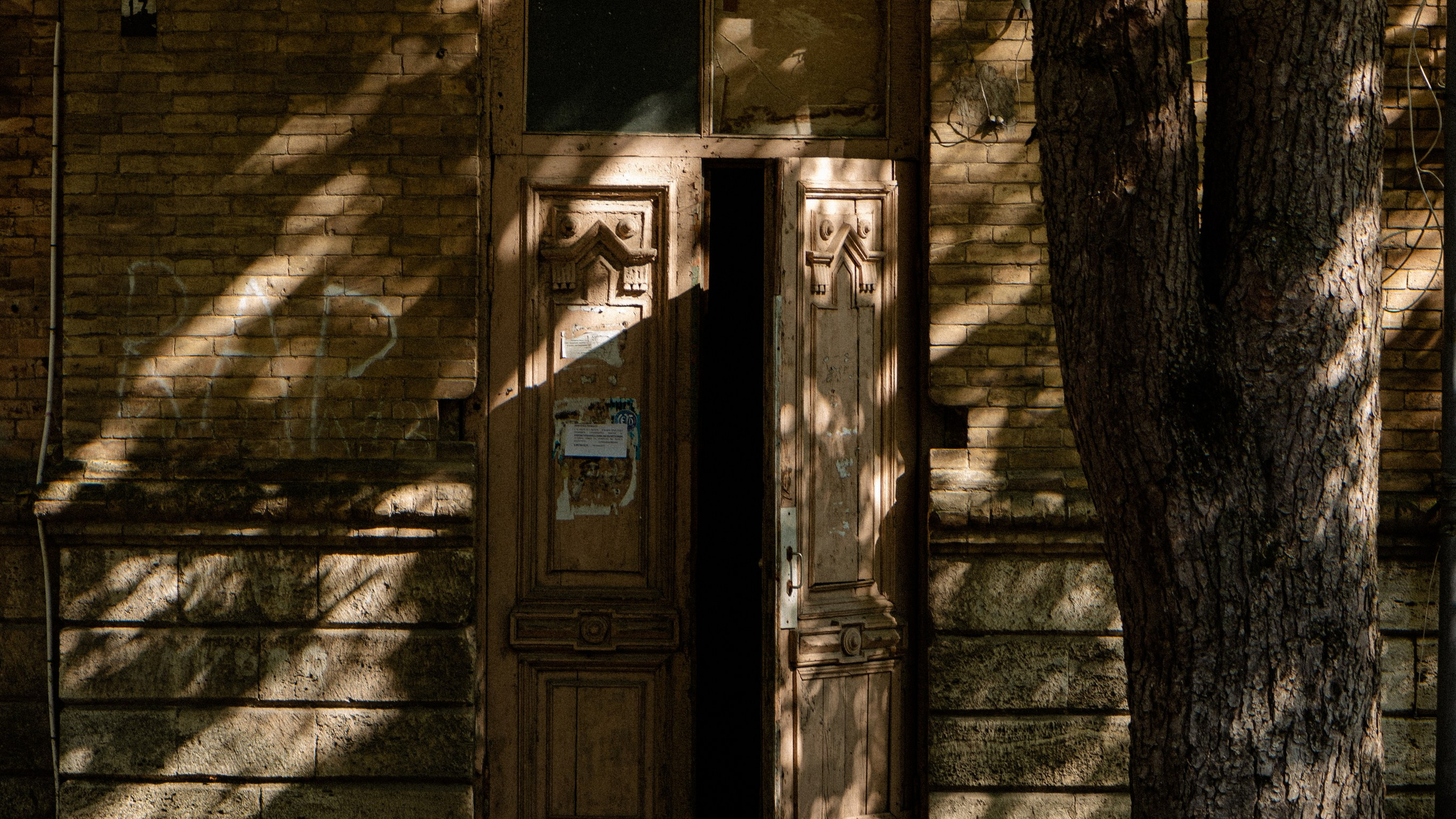 Кавказ'23. Danny Morgunovsky