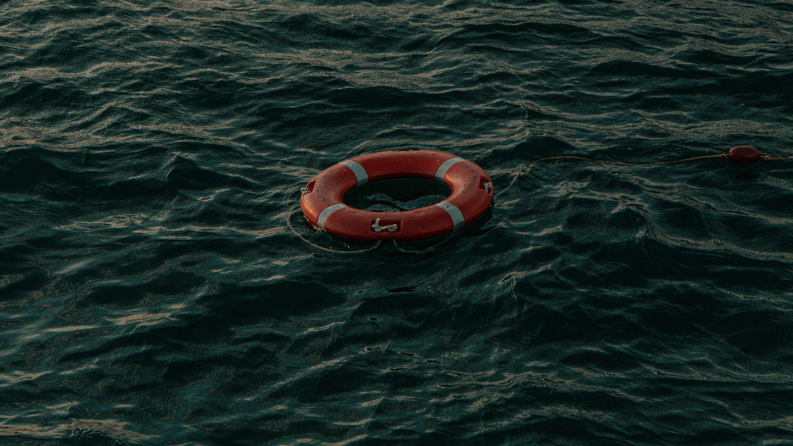 Природа. Danny Morgunovsky