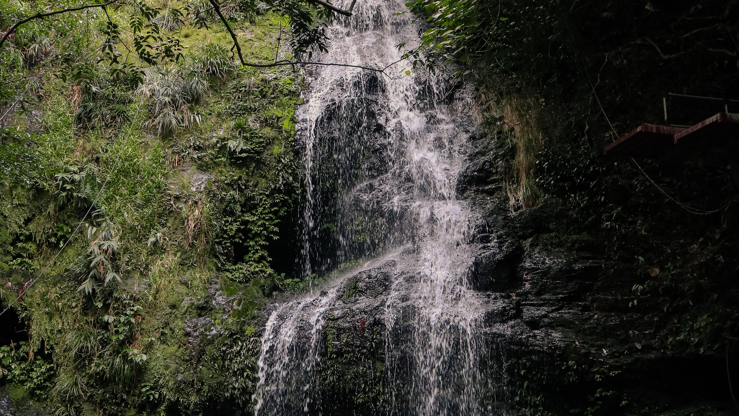 Китай'20. Danny Morgunovsky