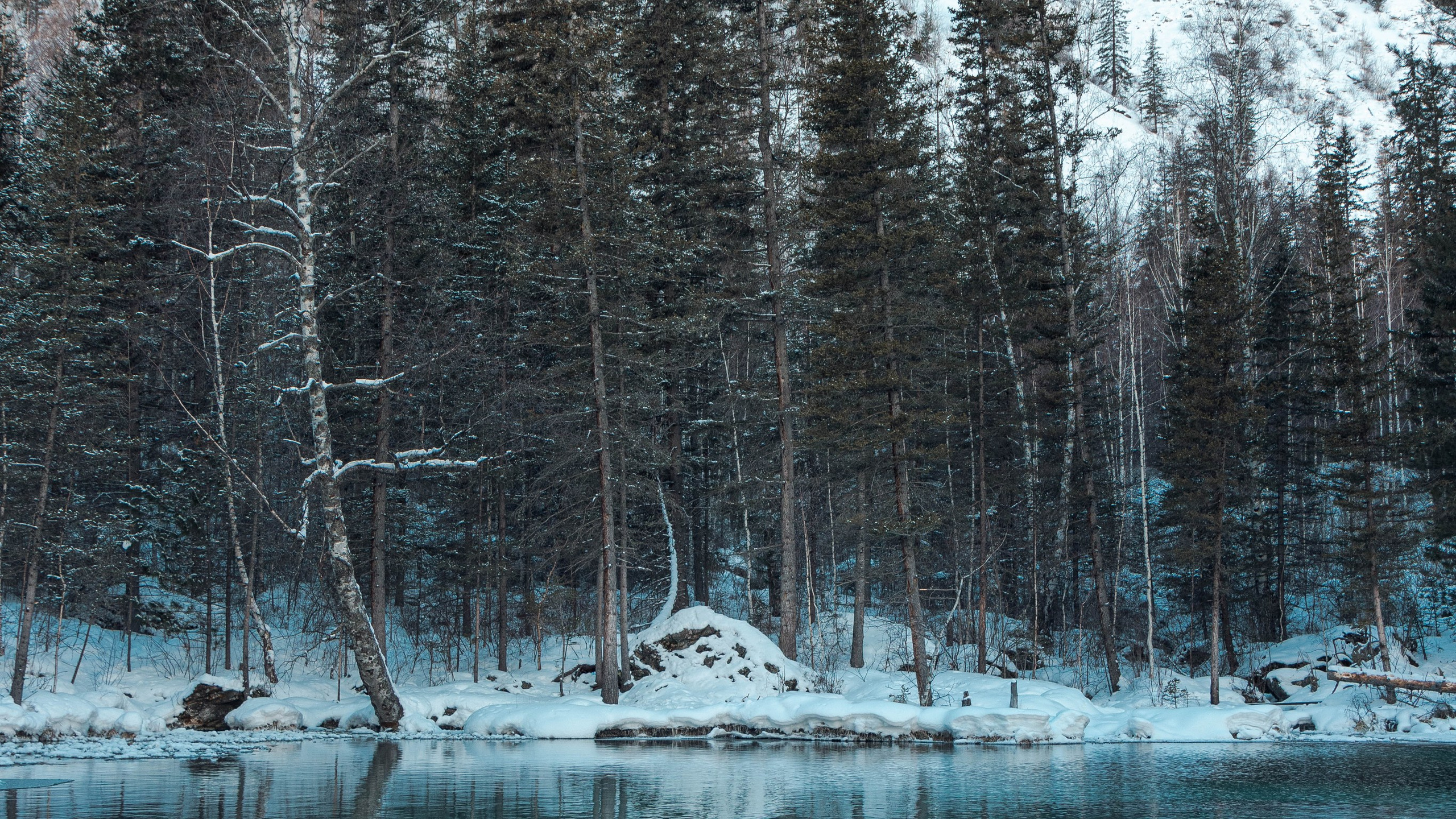 Алтай'21. Danny Morgunovsky