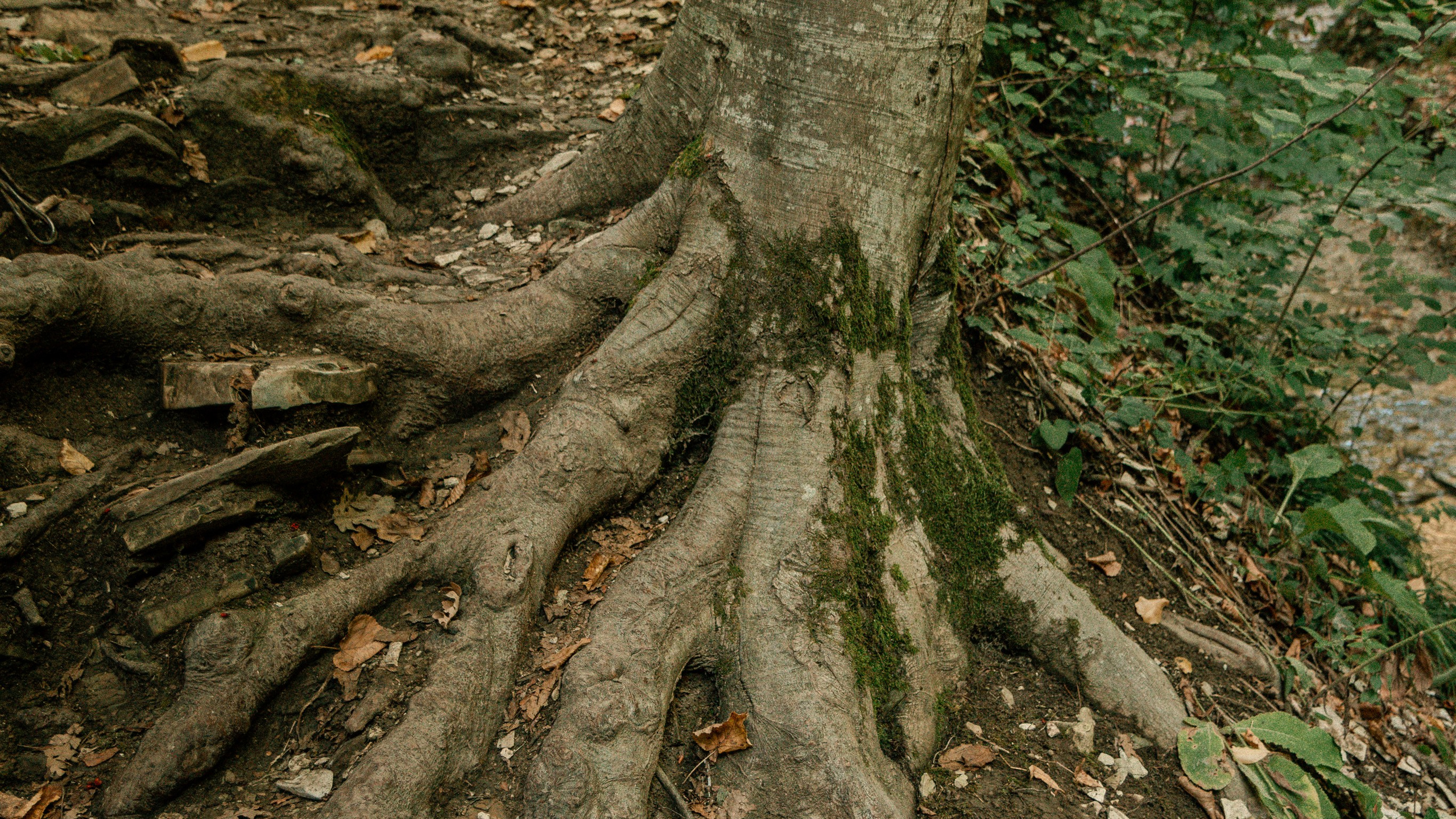 Геленджик'22. Danny Morgunovsky