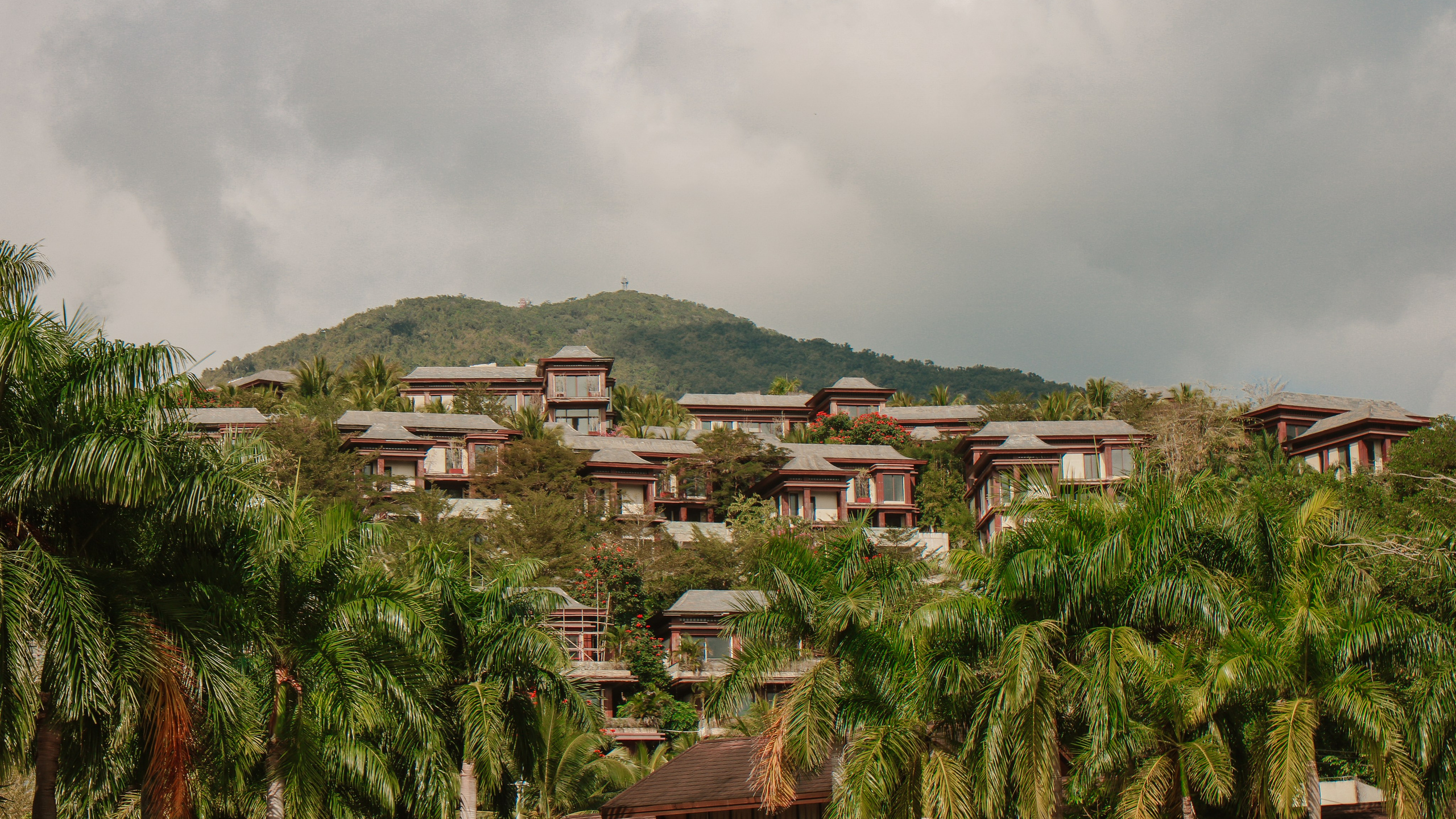 Китай'20. Danny Morgunovsky