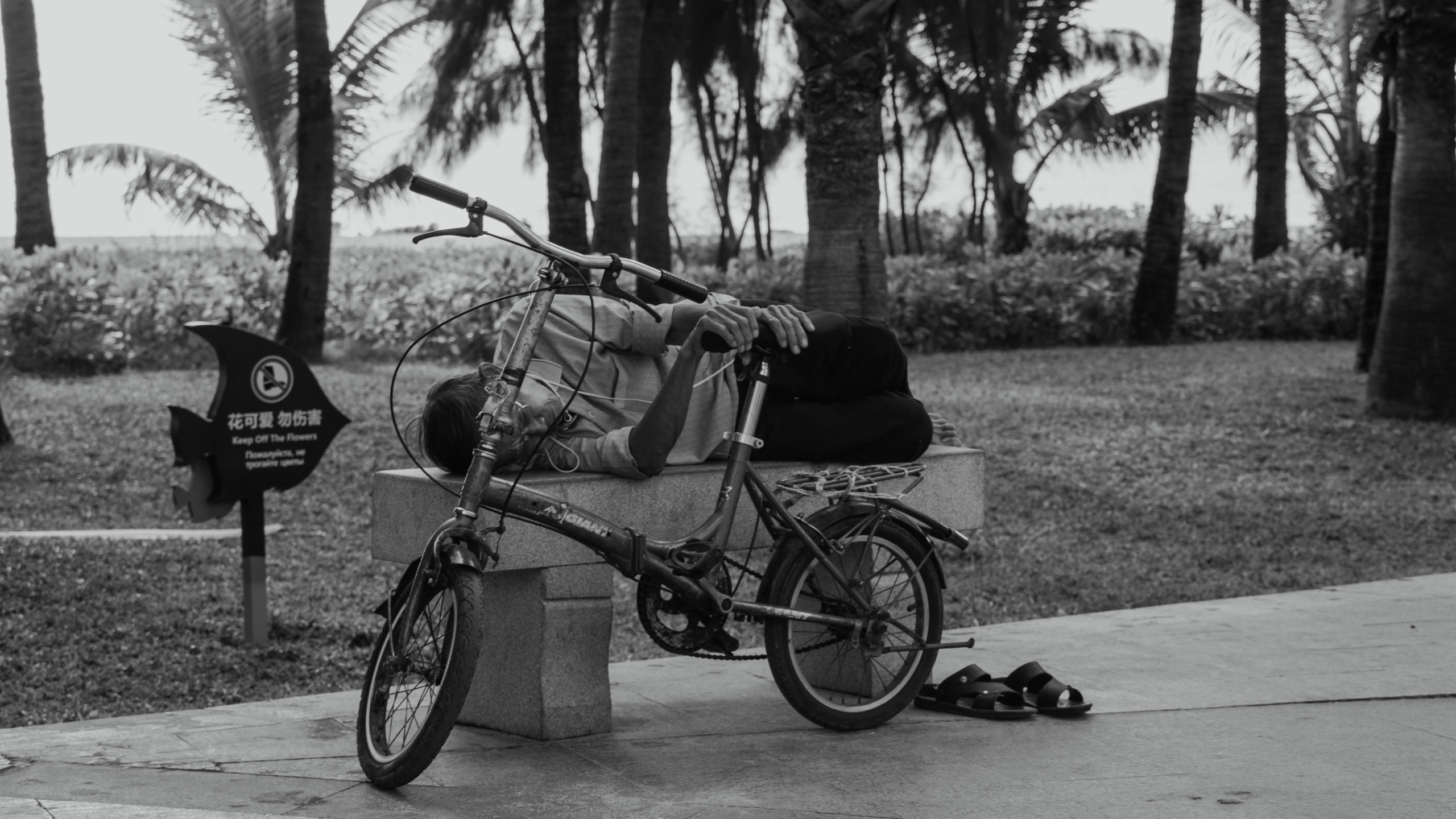 Китай'20. Danny Morgunovsky