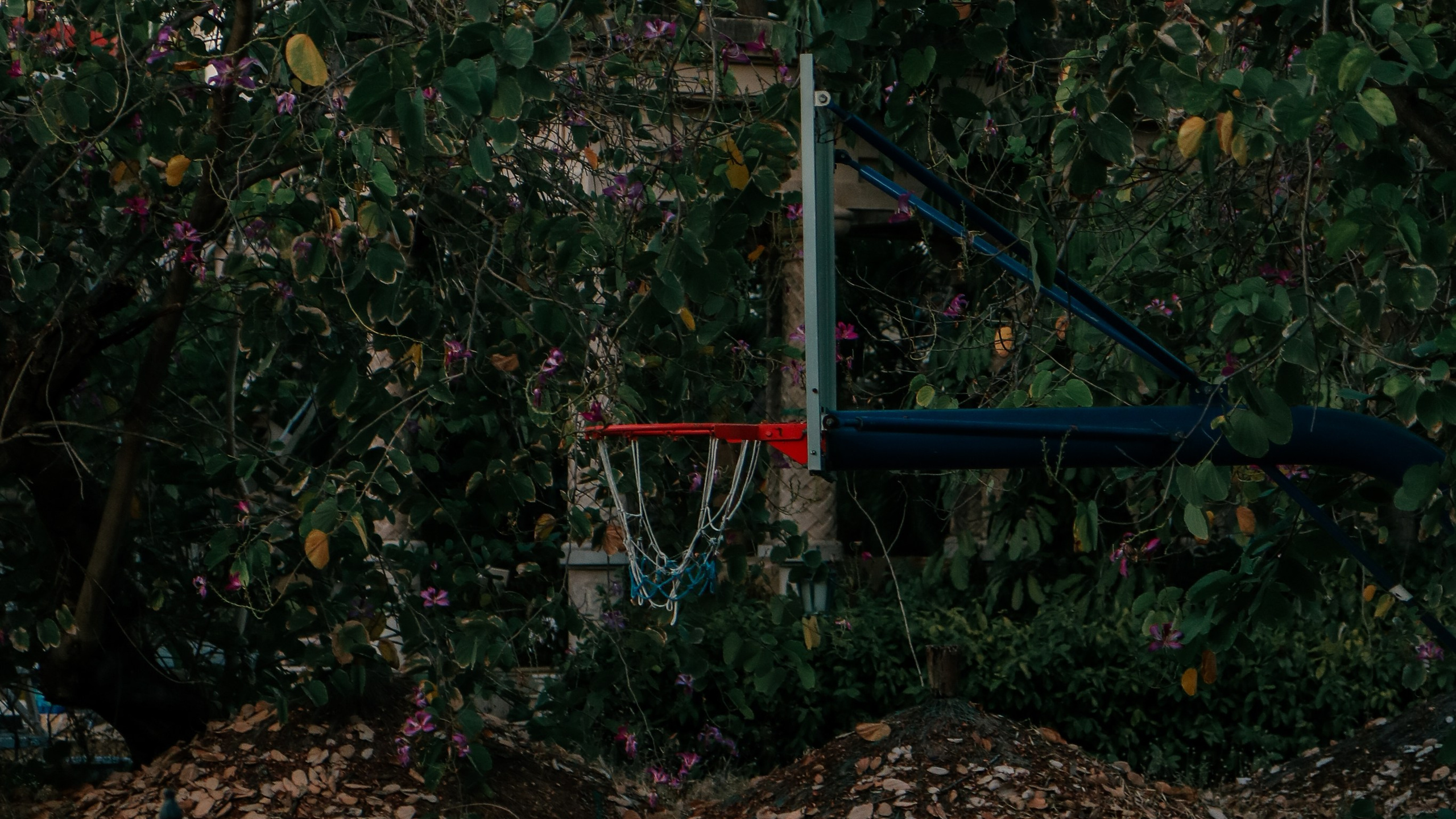 Китай'20. Danny Morgunovsky