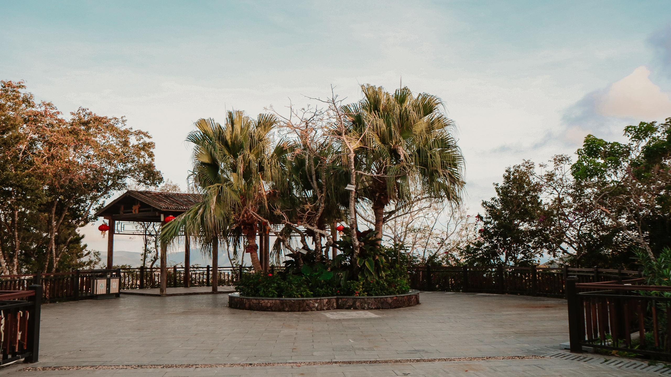 Китай'20. Danny Morgunovsky