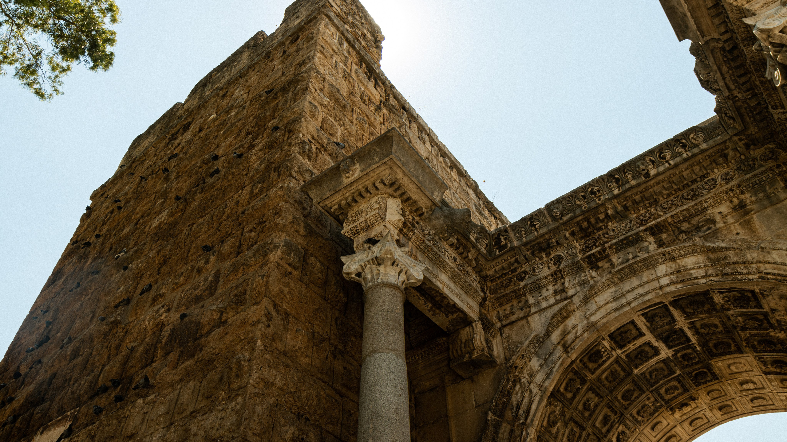 Турция'24. Danny Morgunovsky