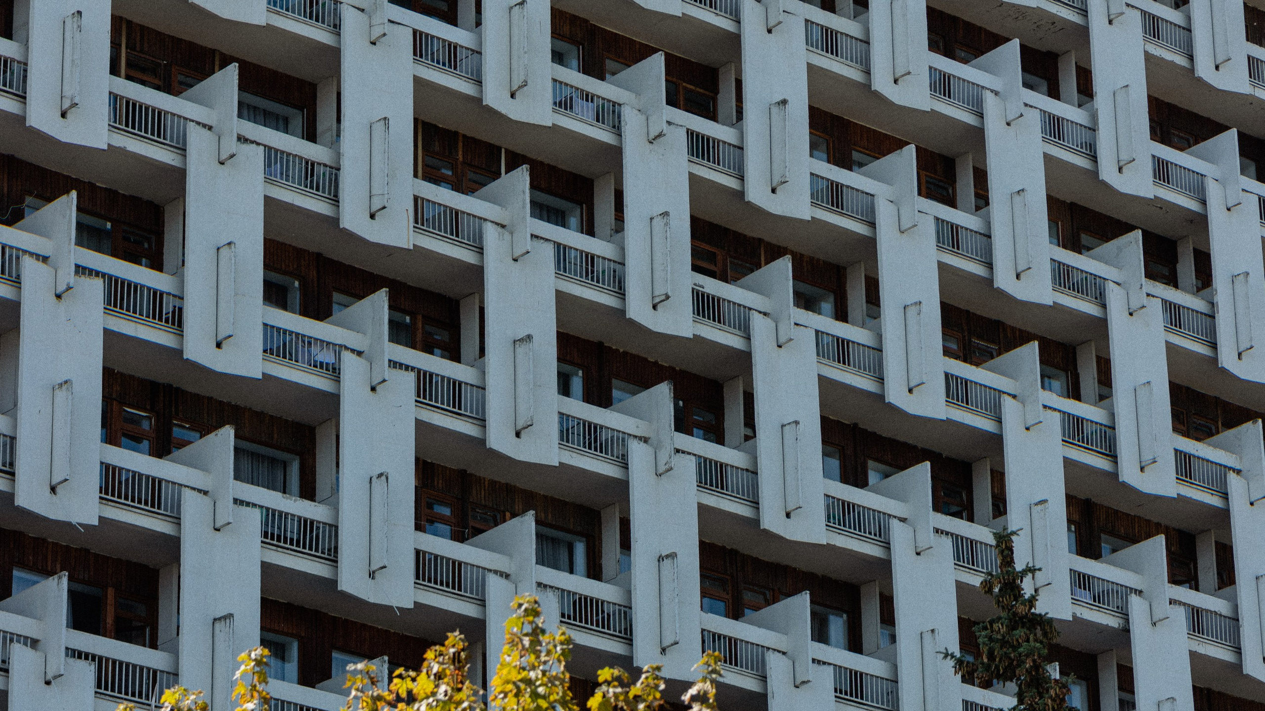 Кавказ'23. Danny Morgunovsky