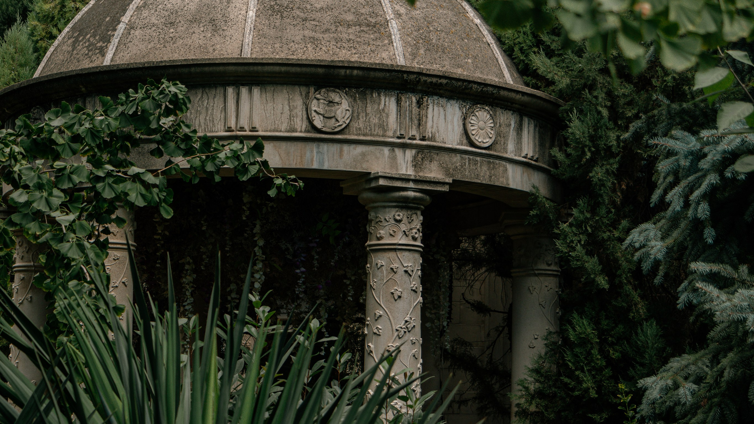 Геленджик'22. Danny Morgunovsky