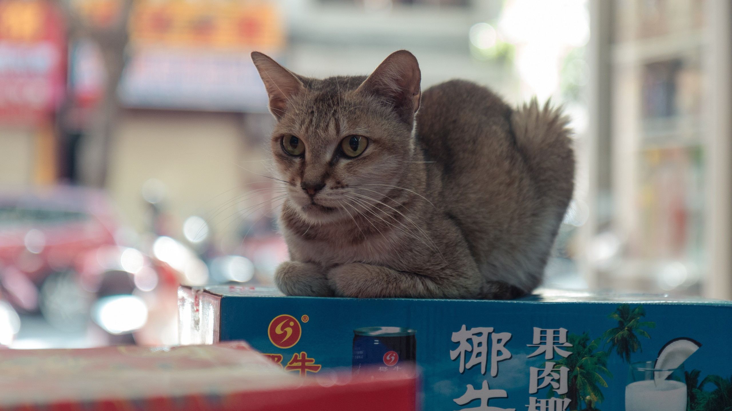 Китай'20. Danny Morgunovsky