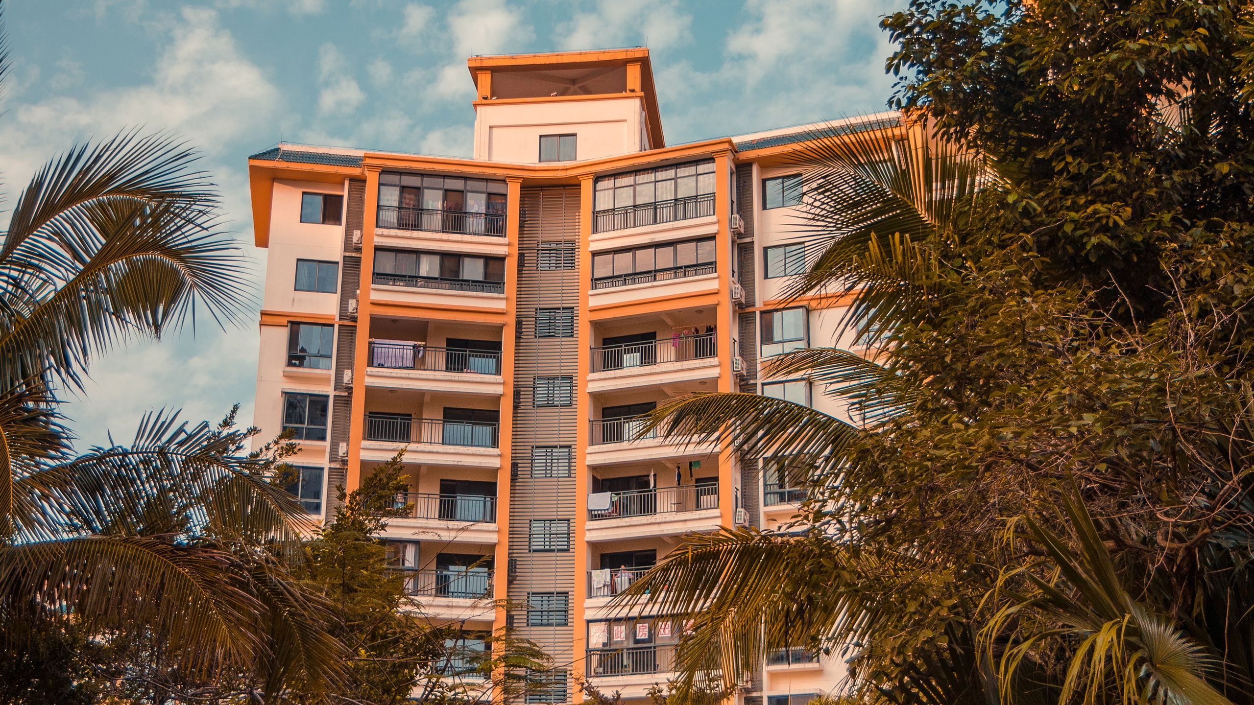 Китай'20. Danny Morgunovsky