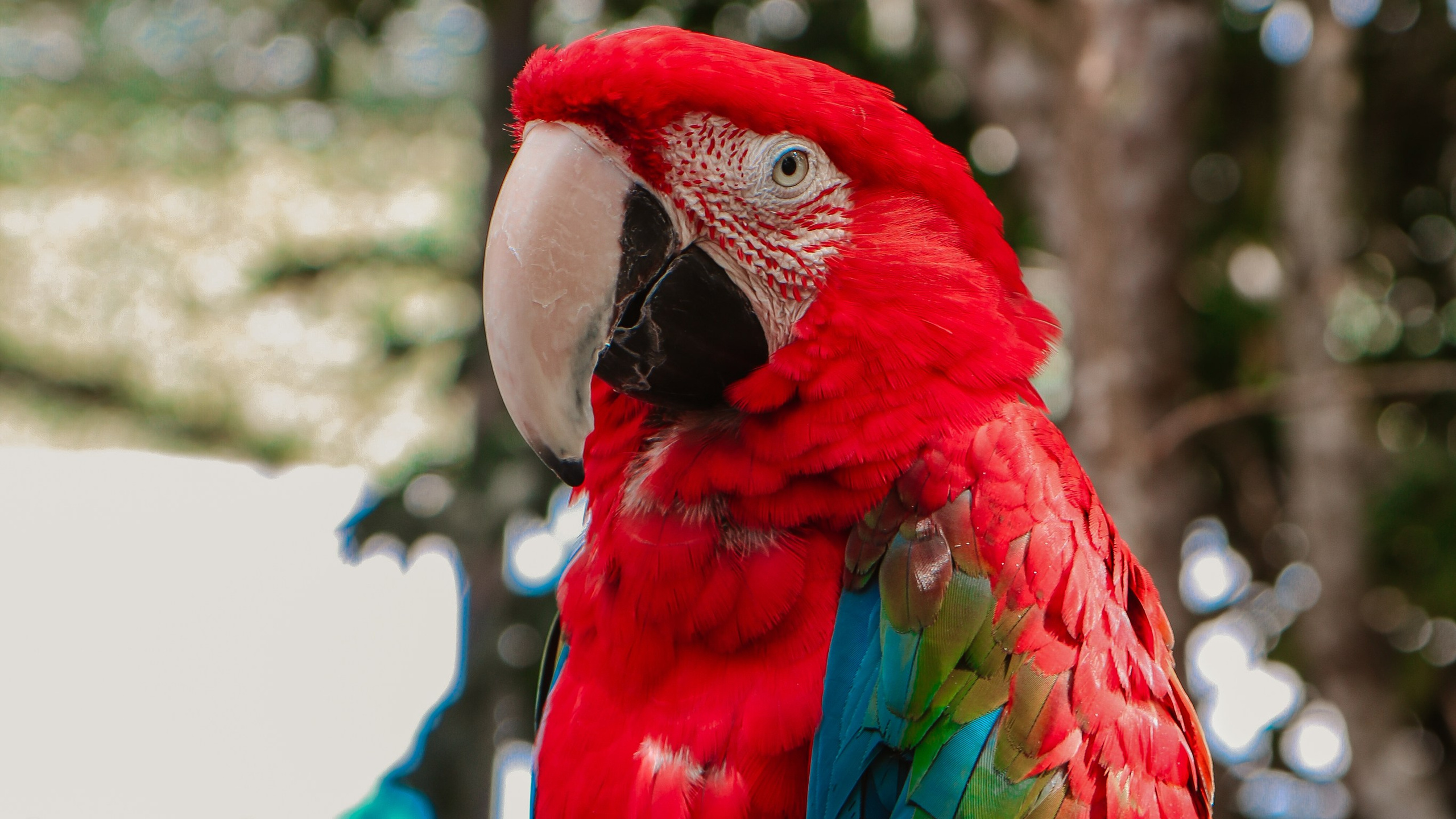 Китай'20. Danny Morgunovsky