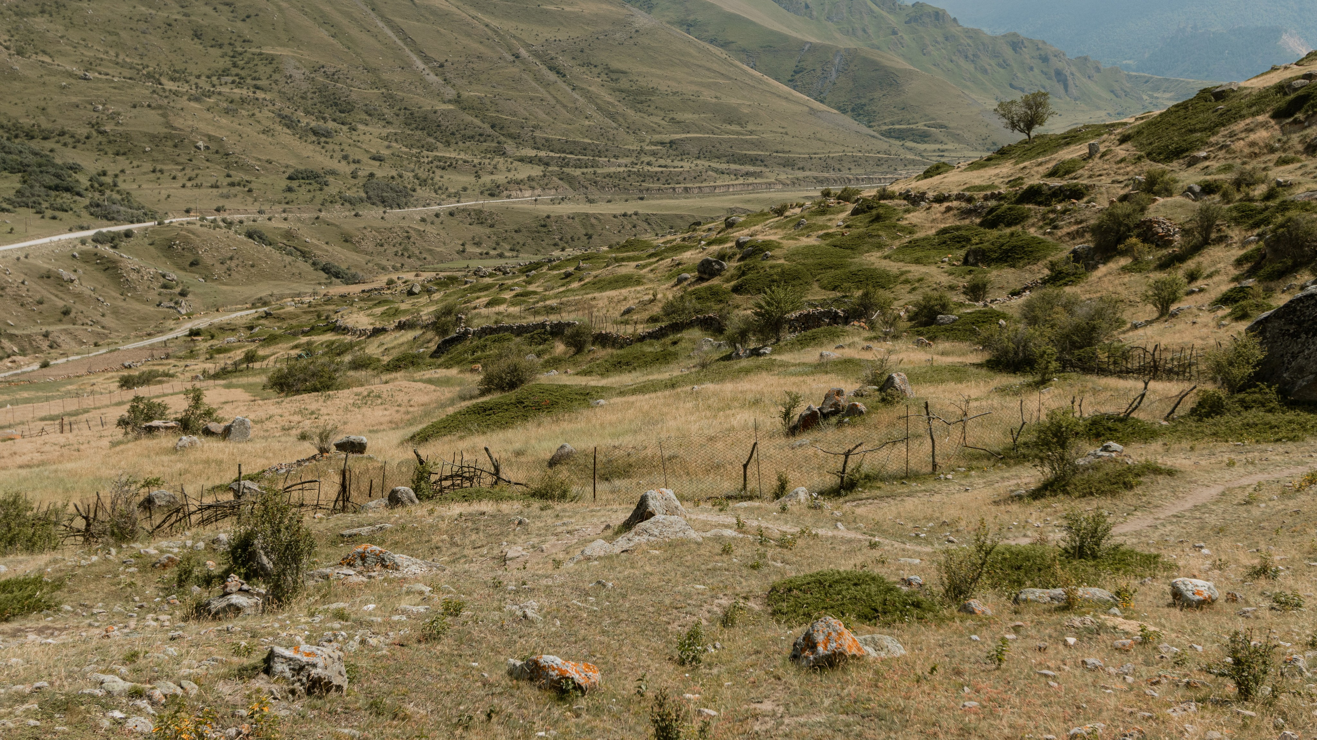 Кавказ'23. Danny Morgunovsky