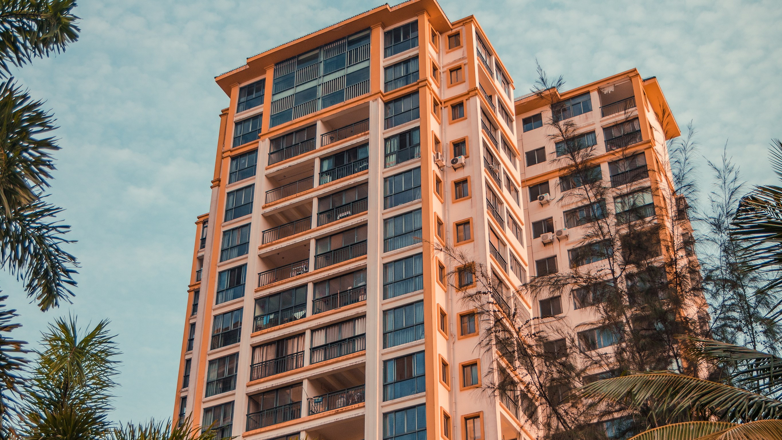 Китай'20. Danny Morgunovsky