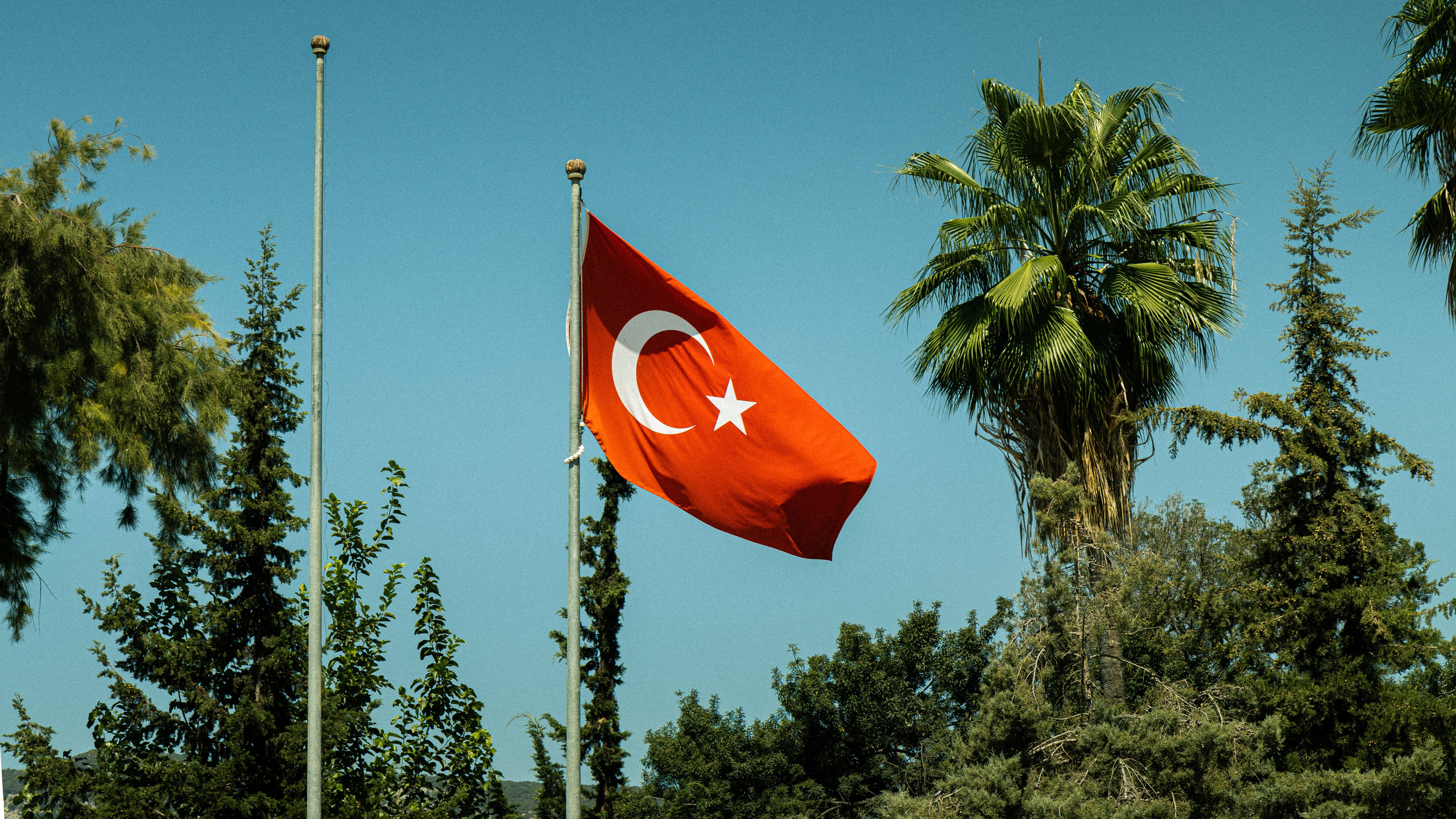 Турция'24. Danny Morgunovsky