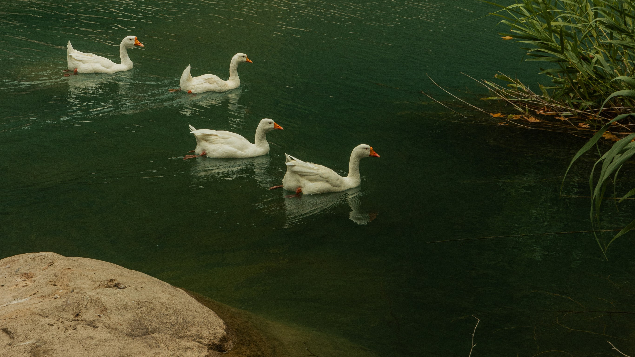 Турция'24. Danny Morgunovsky