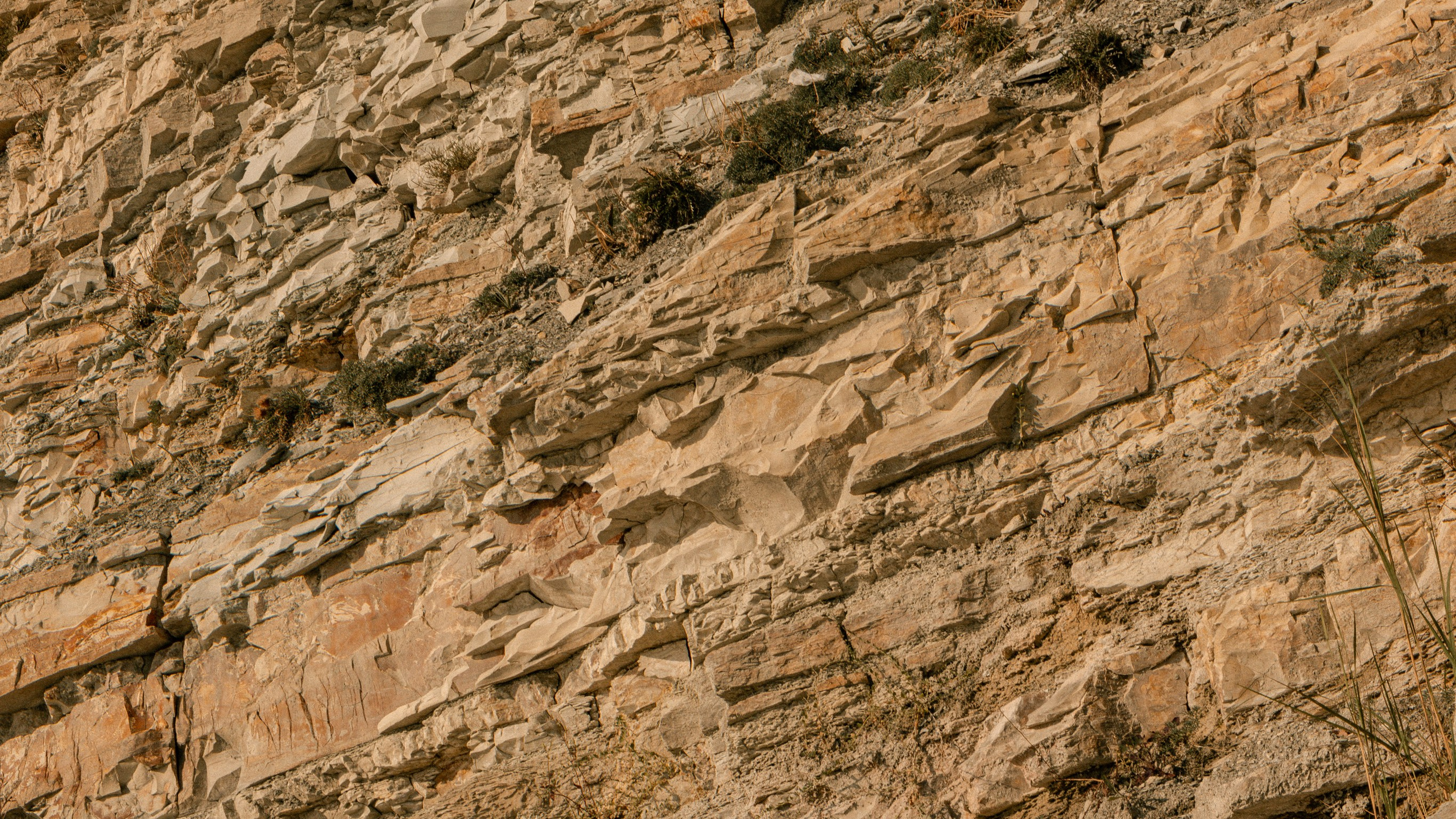 Геленджик'22. Danny Morgunovsky