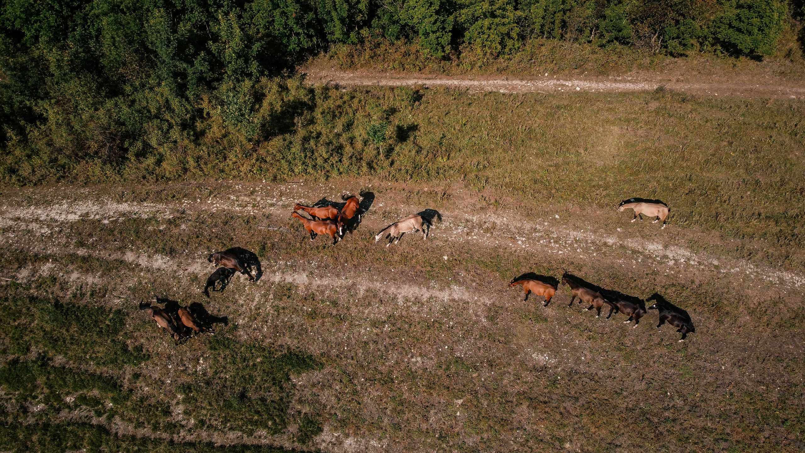 Геленджик'22. Danny Morgunovsky