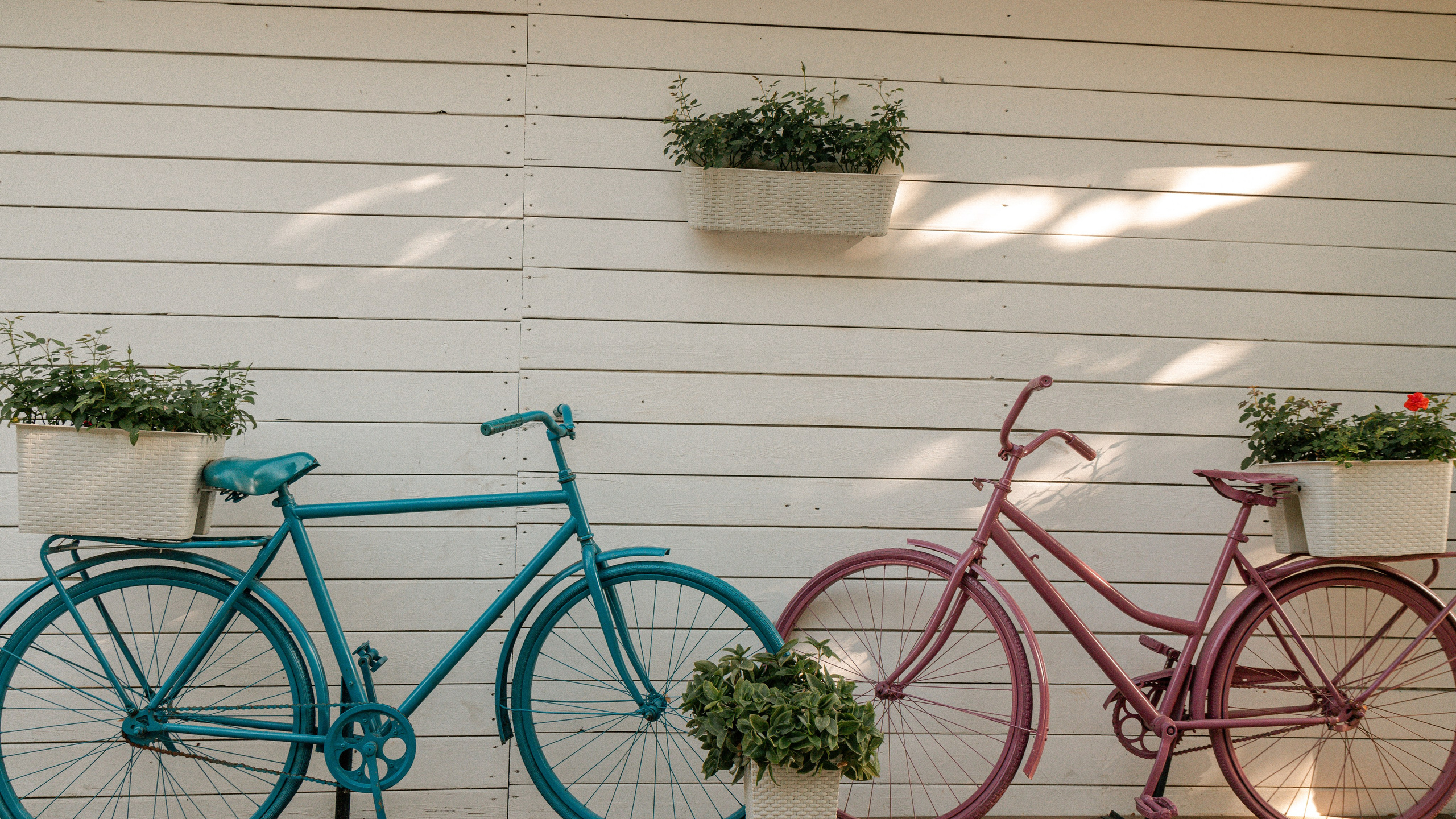 Геленджик'22. Danny Morgunovsky