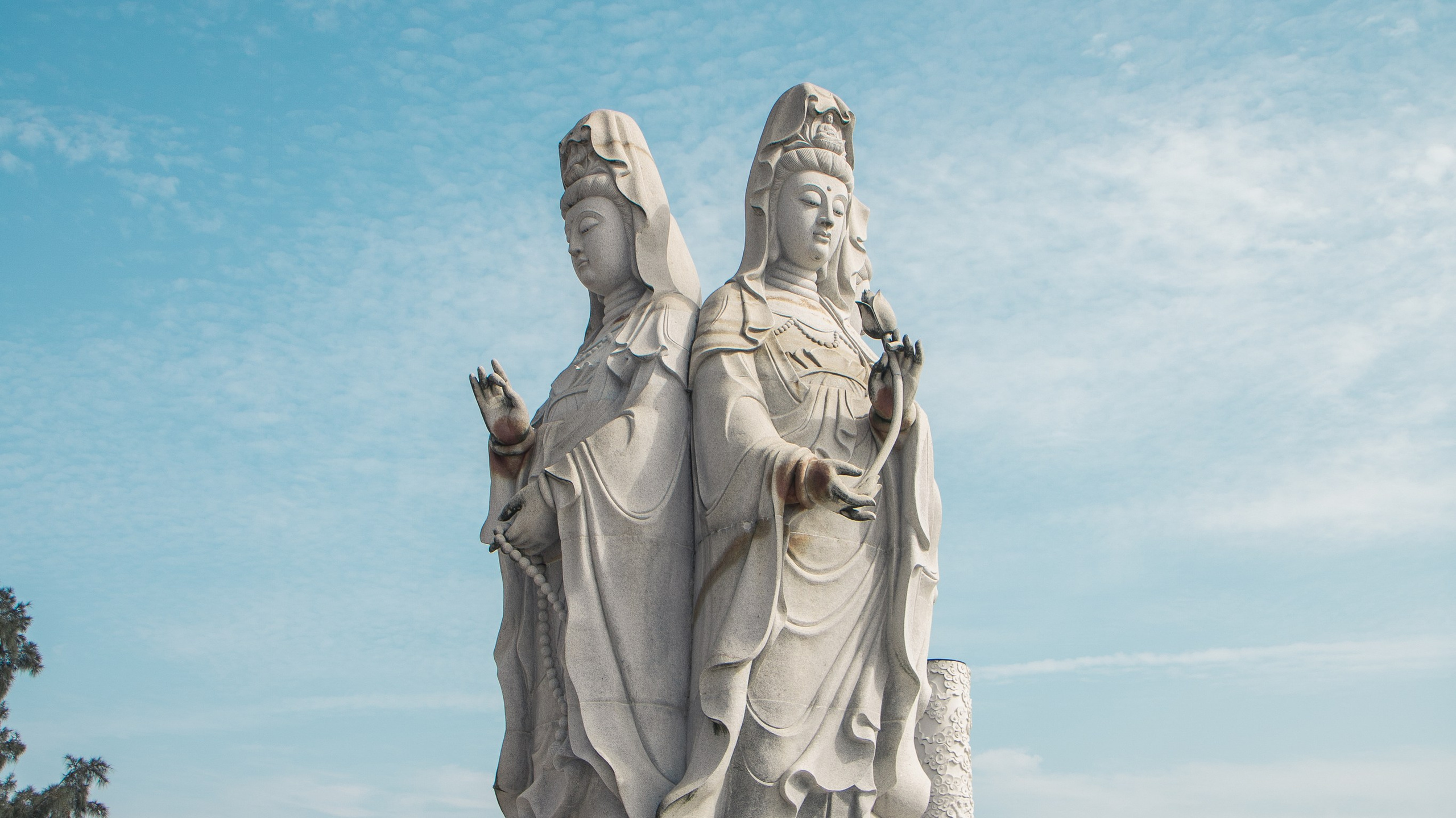 Китай'20. Danny Morgunovsky