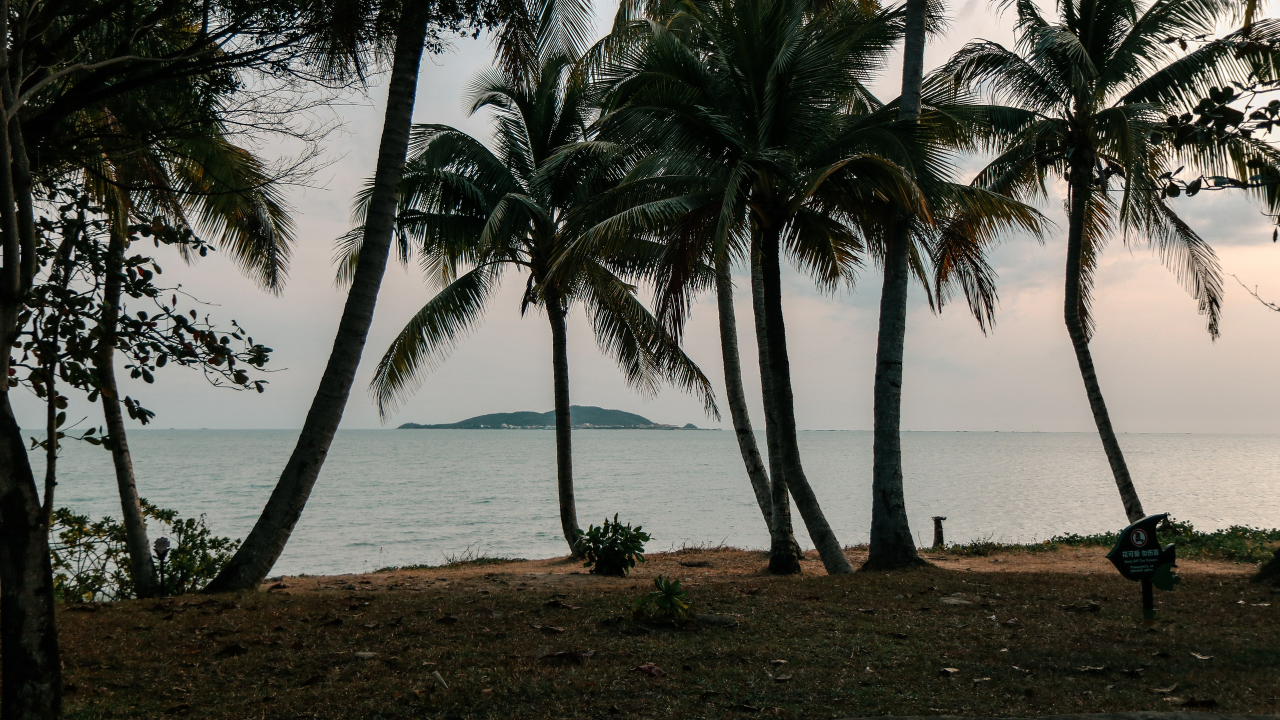 Китай'20. Danny Morgunovsky