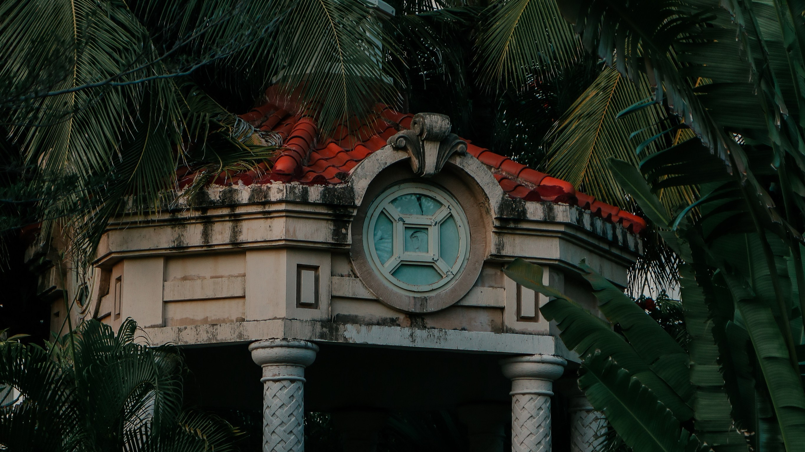 Китай'20. Danny Morgunovsky