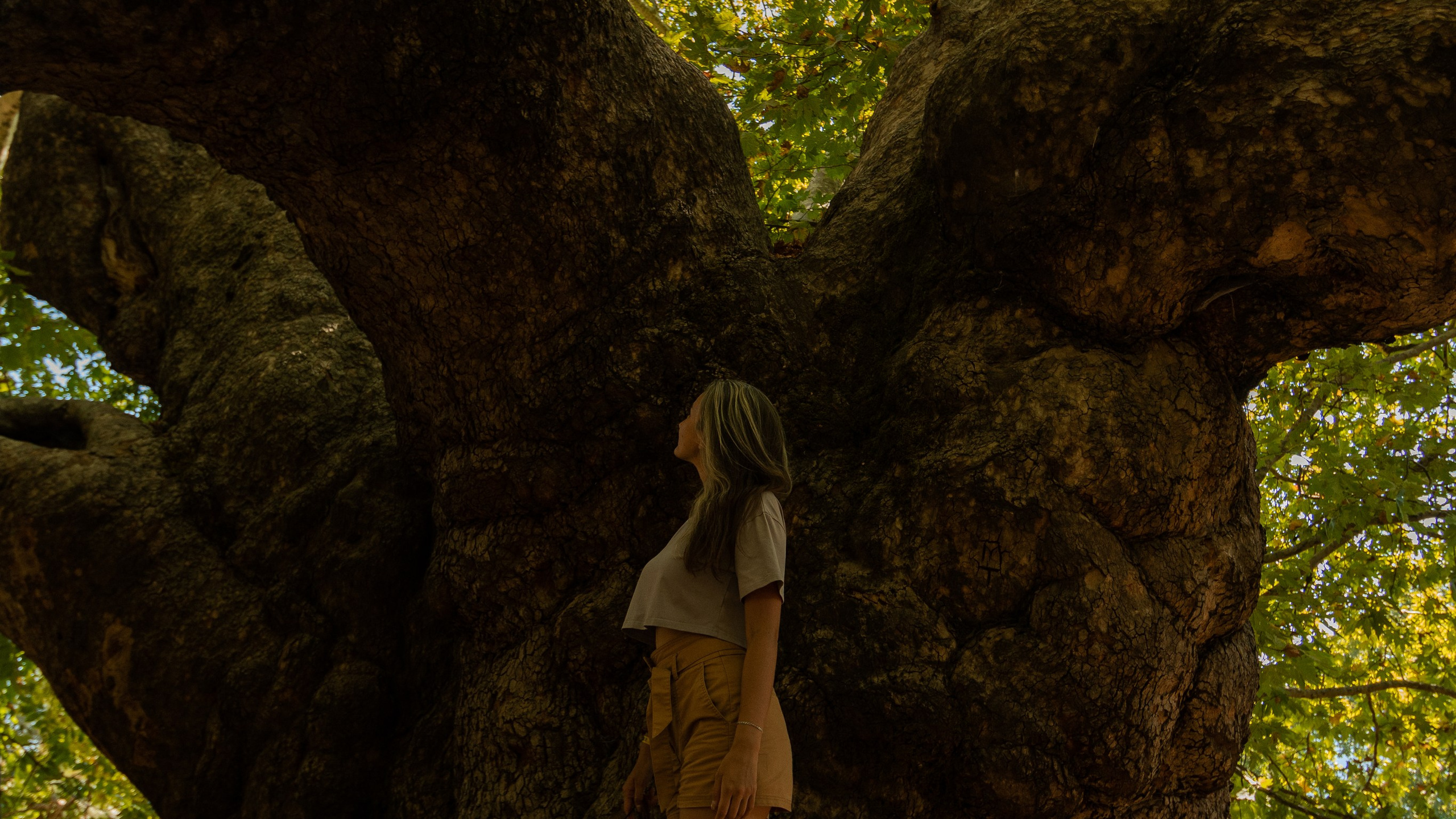 Турция'24. Danny Morgunovsky