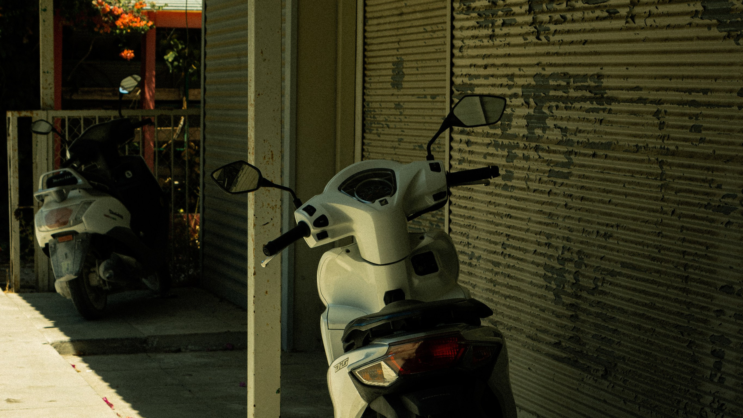 Турция'24. Danny Morgunovsky