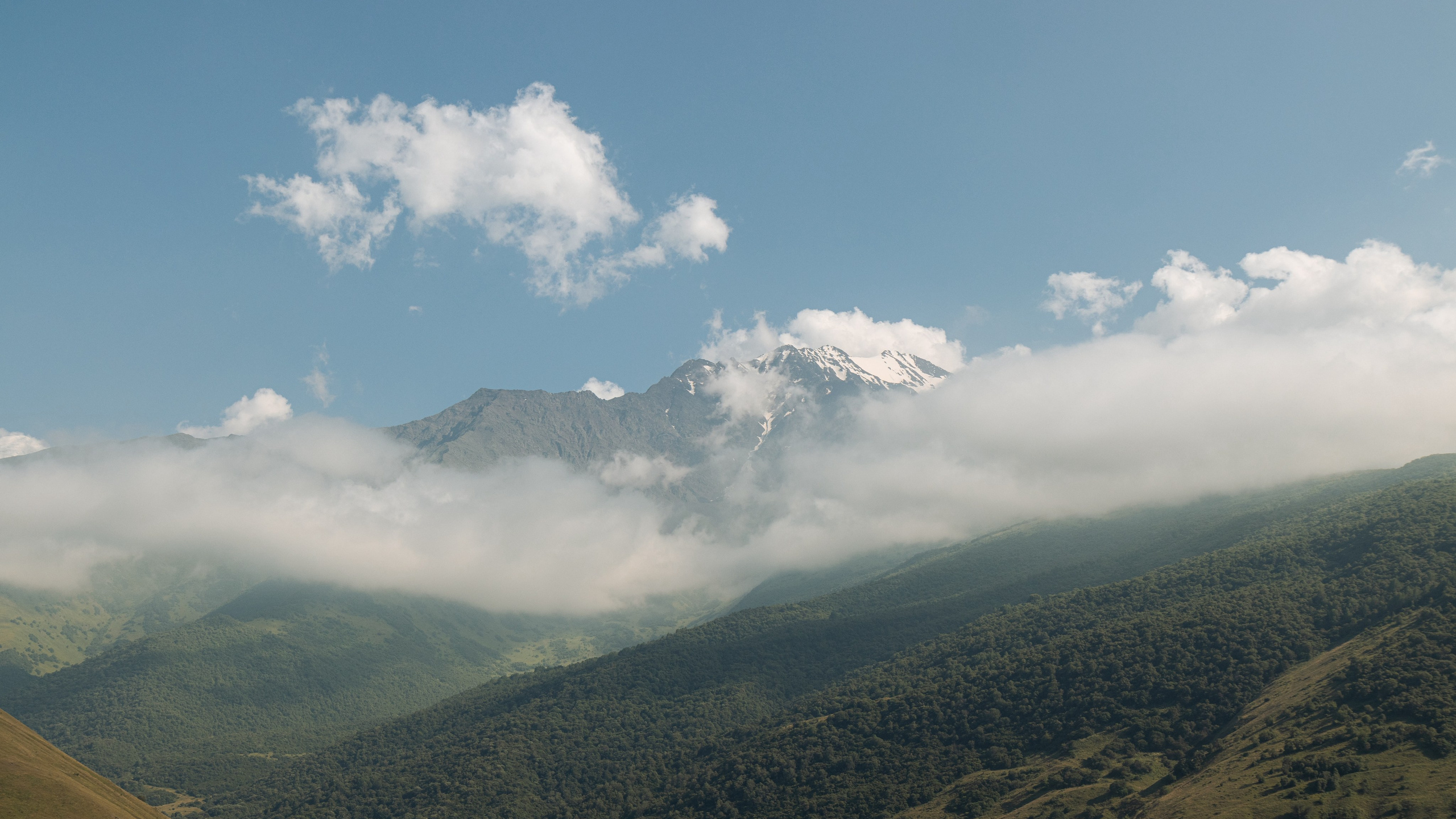 Природа. Danny Morgunovsky