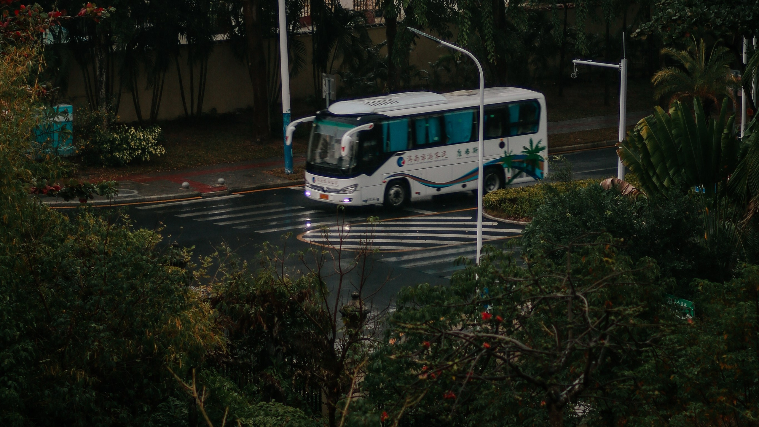 Китай'20. Danny Morgunovsky