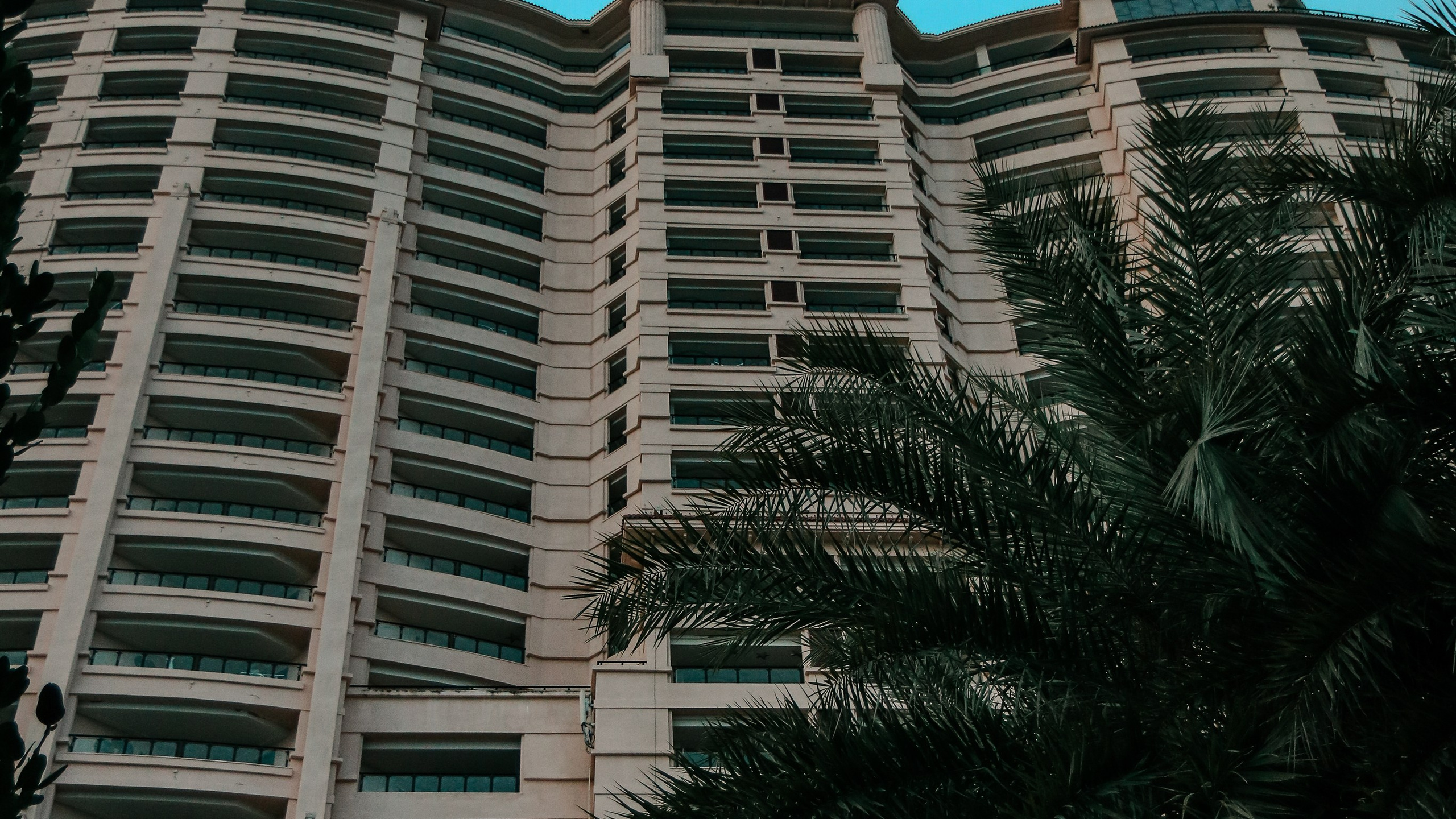 Китай'20. Danny Morgunovsky