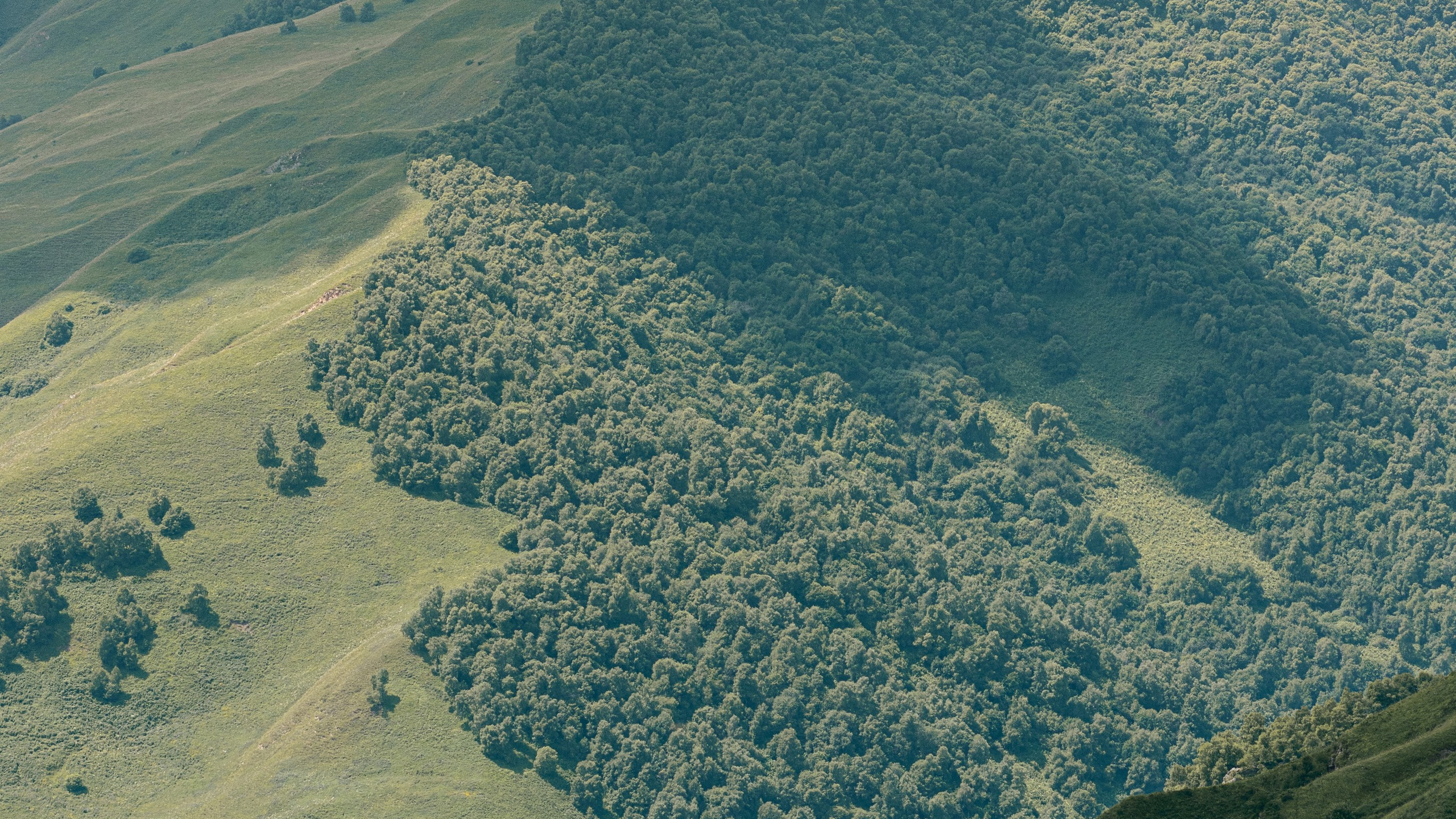 Кавказ'23. Danny Morgunovsky