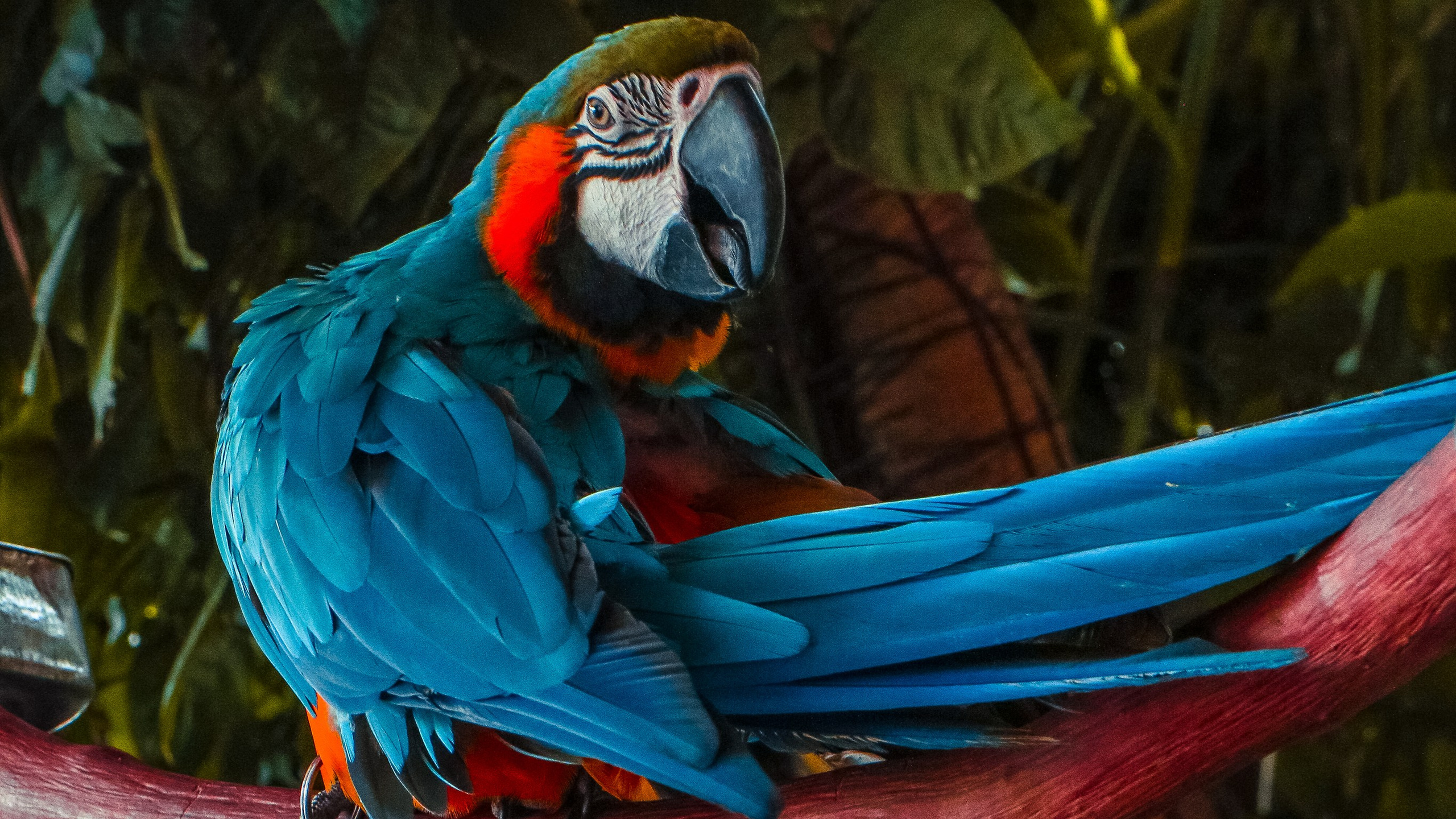 Китай'20. Danny Morgunovsky