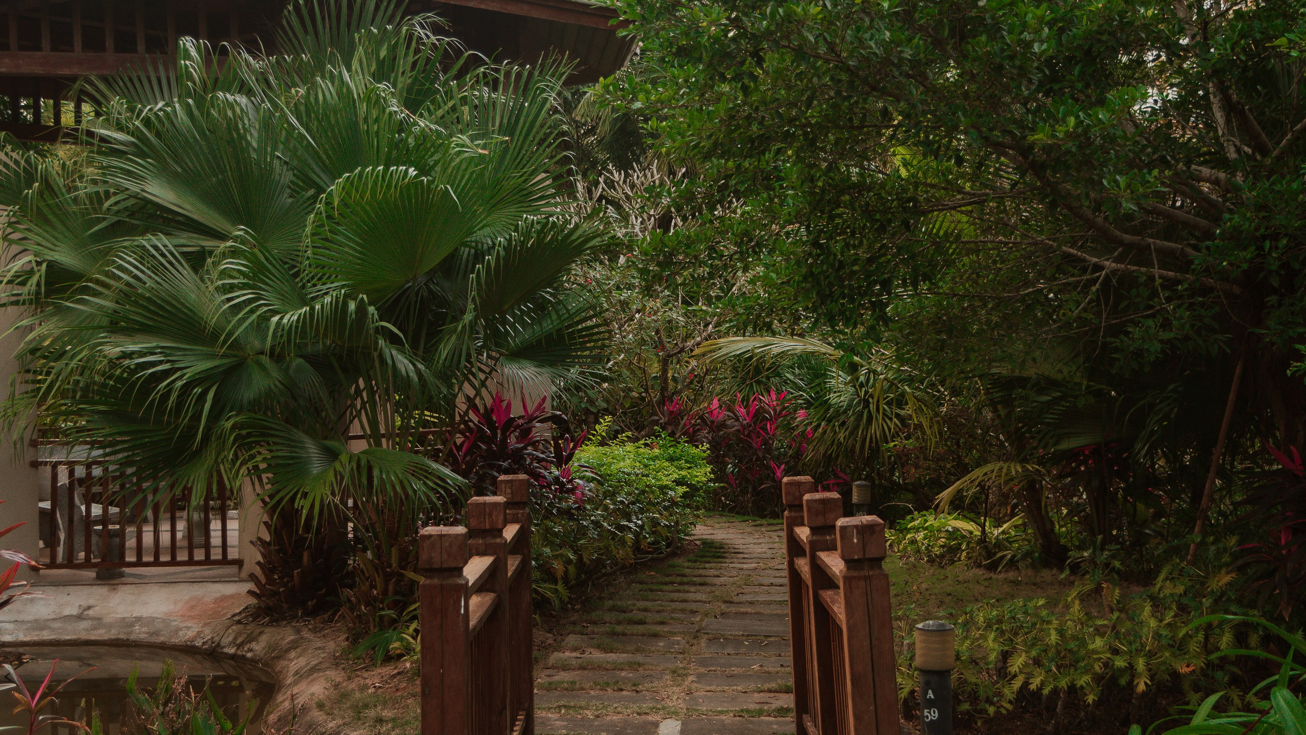 Китай'20. Danny Morgunovsky