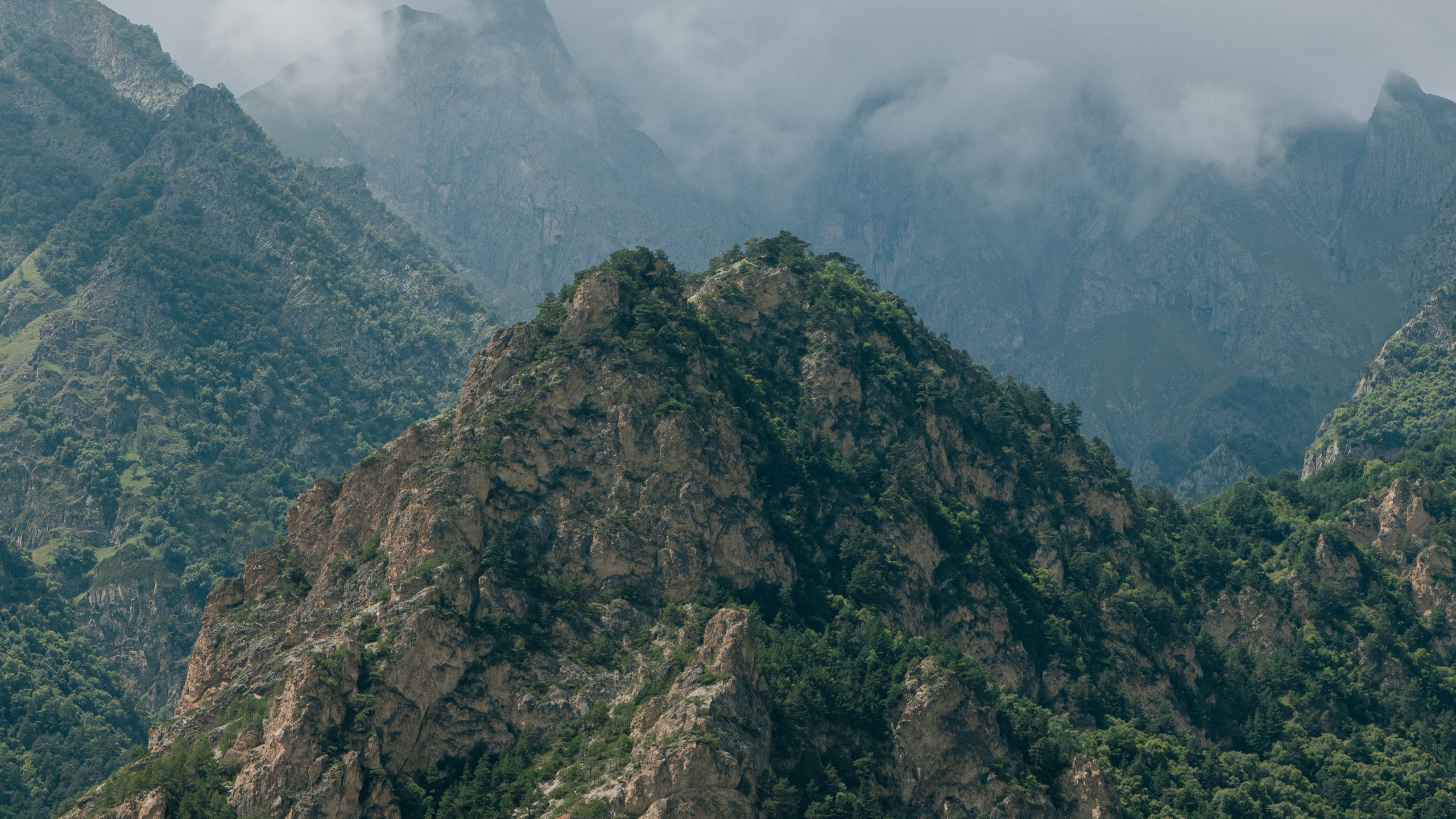 Кавказ'23. Danny Morgunovsky