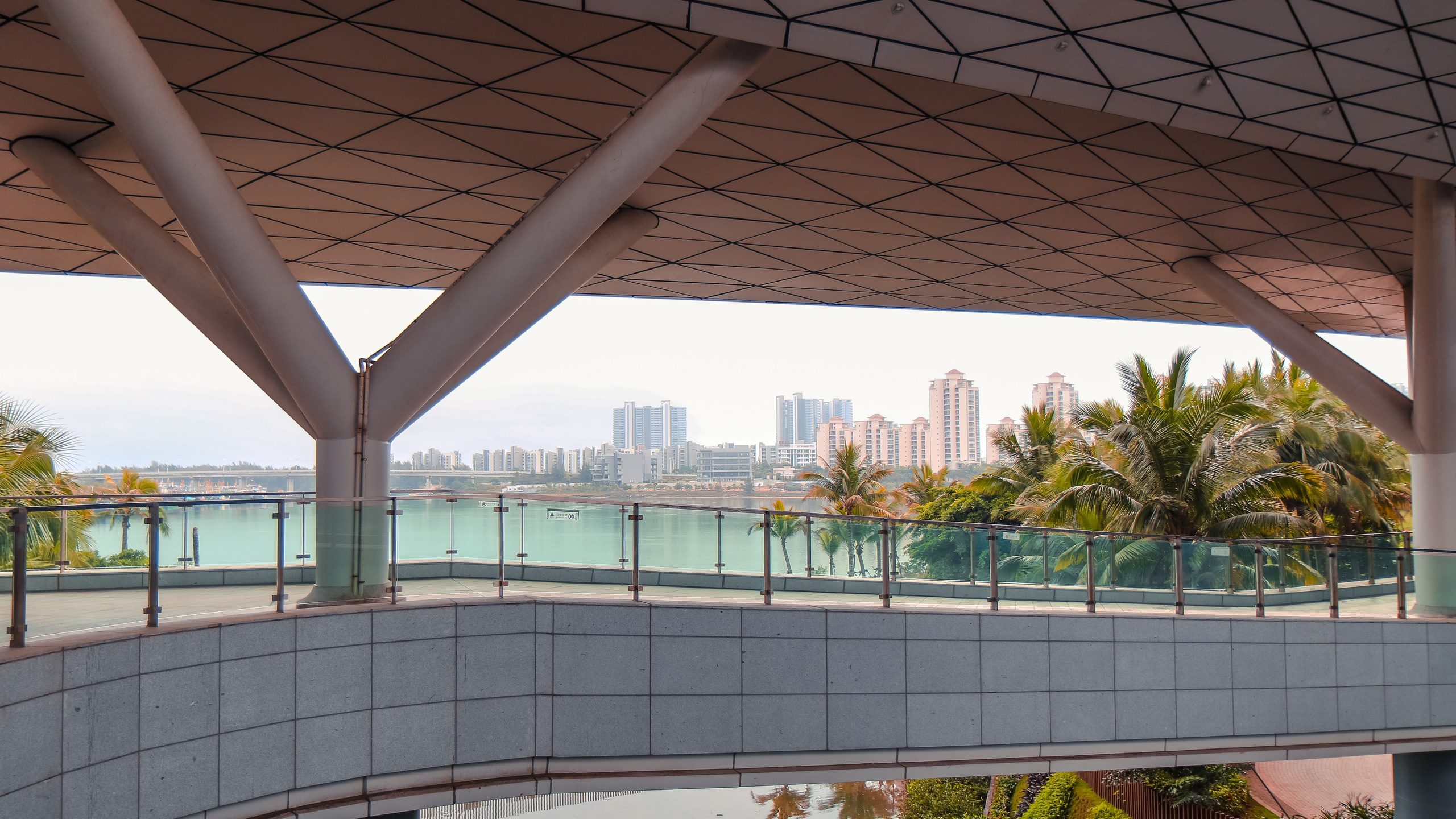 Китай'20. Danny Morgunovsky