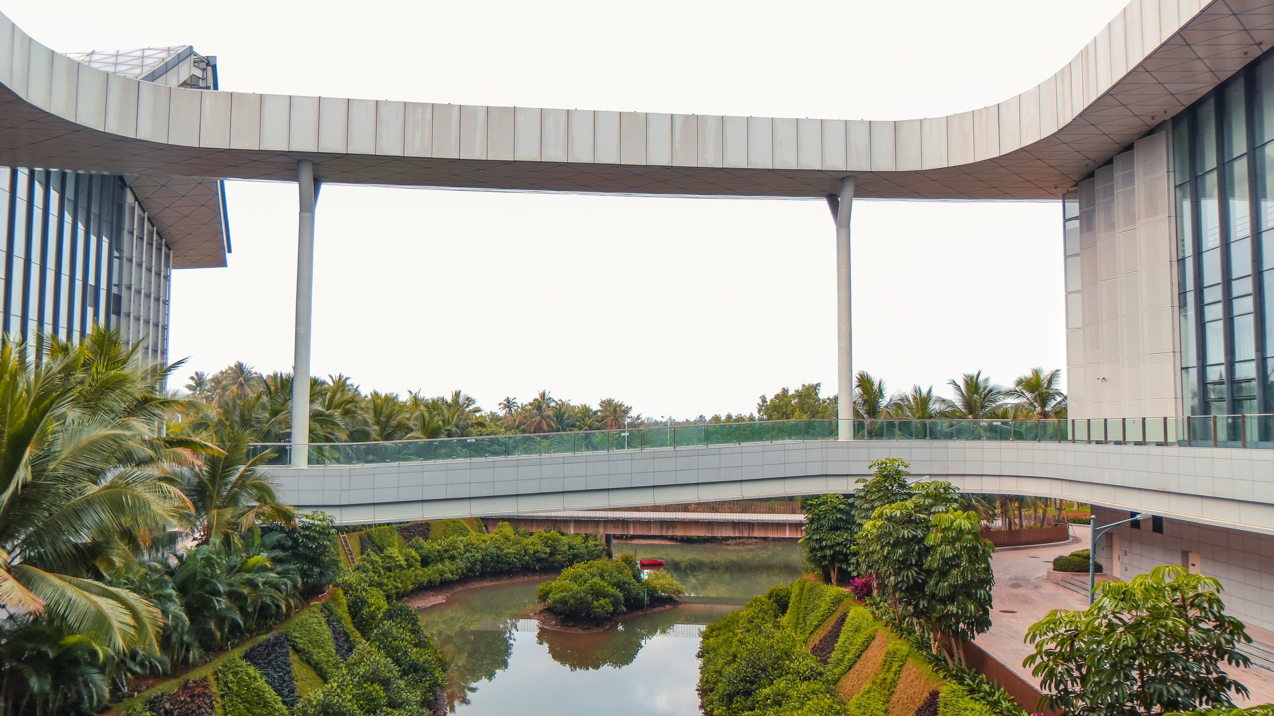 Китай'20. Danny Morgunovsky