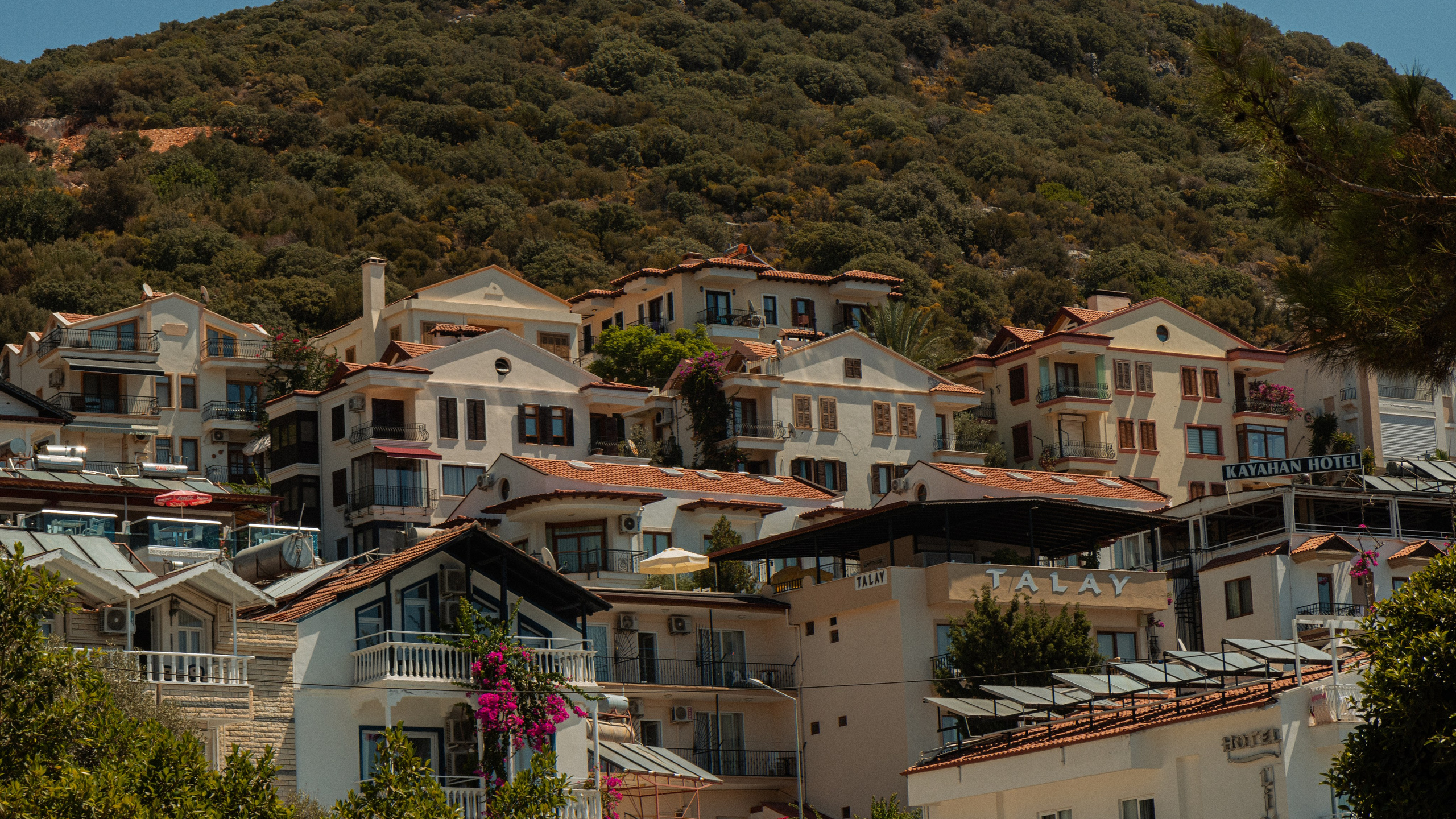 Турция'24. Danny Morgunovsky