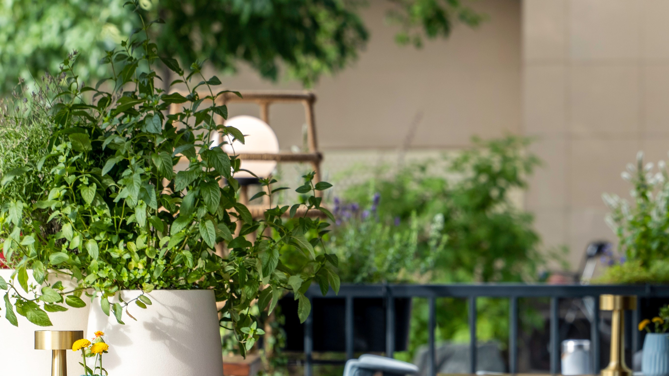 Рестораны. Интерьерный и архитектурный фотограф и видеограф в Москве