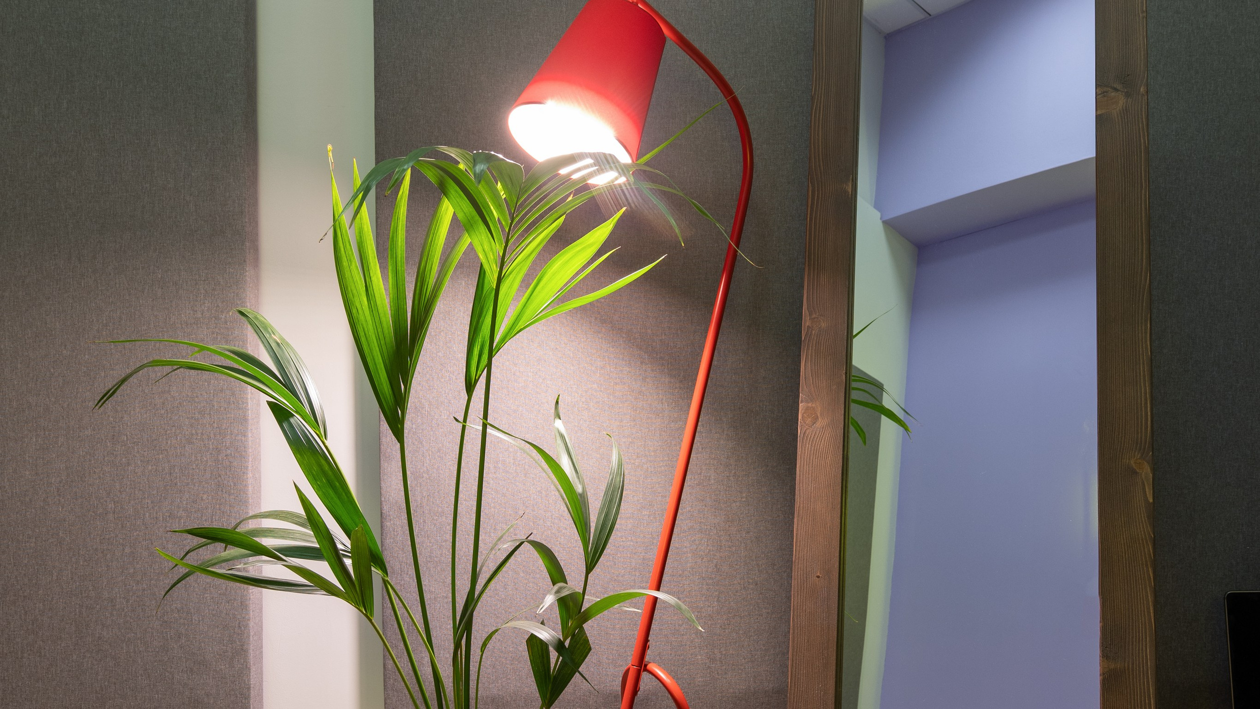 Студия звукозаписи. Интерьерный и архитектурный фотограф и видеограф в Москве