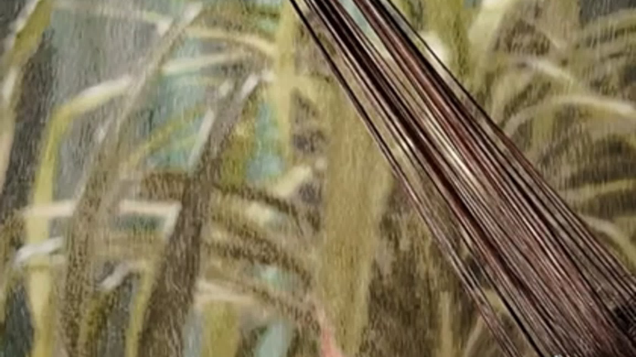 Готовые видео. Фотограф и видеограф в Ставрополе Инна Попова