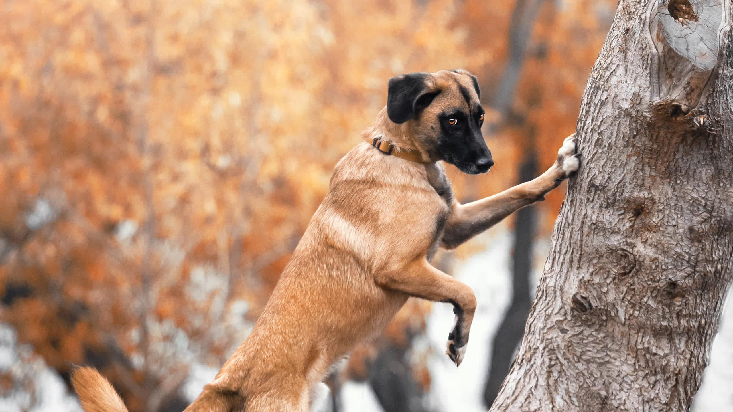 Фучик 2022. Фотограф-анималист Татьяна Степанова